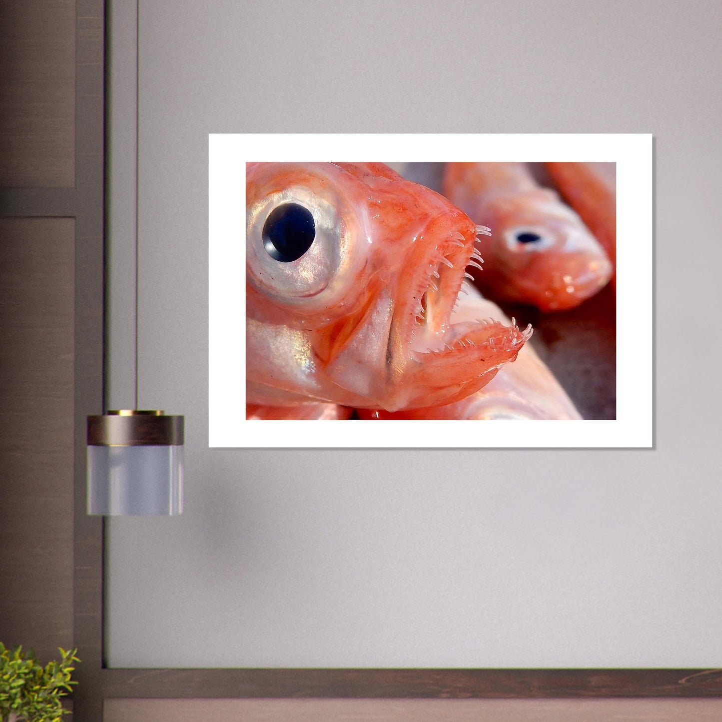 dcb40bda-ee55-4a6b-bd7a-9583b4421a14