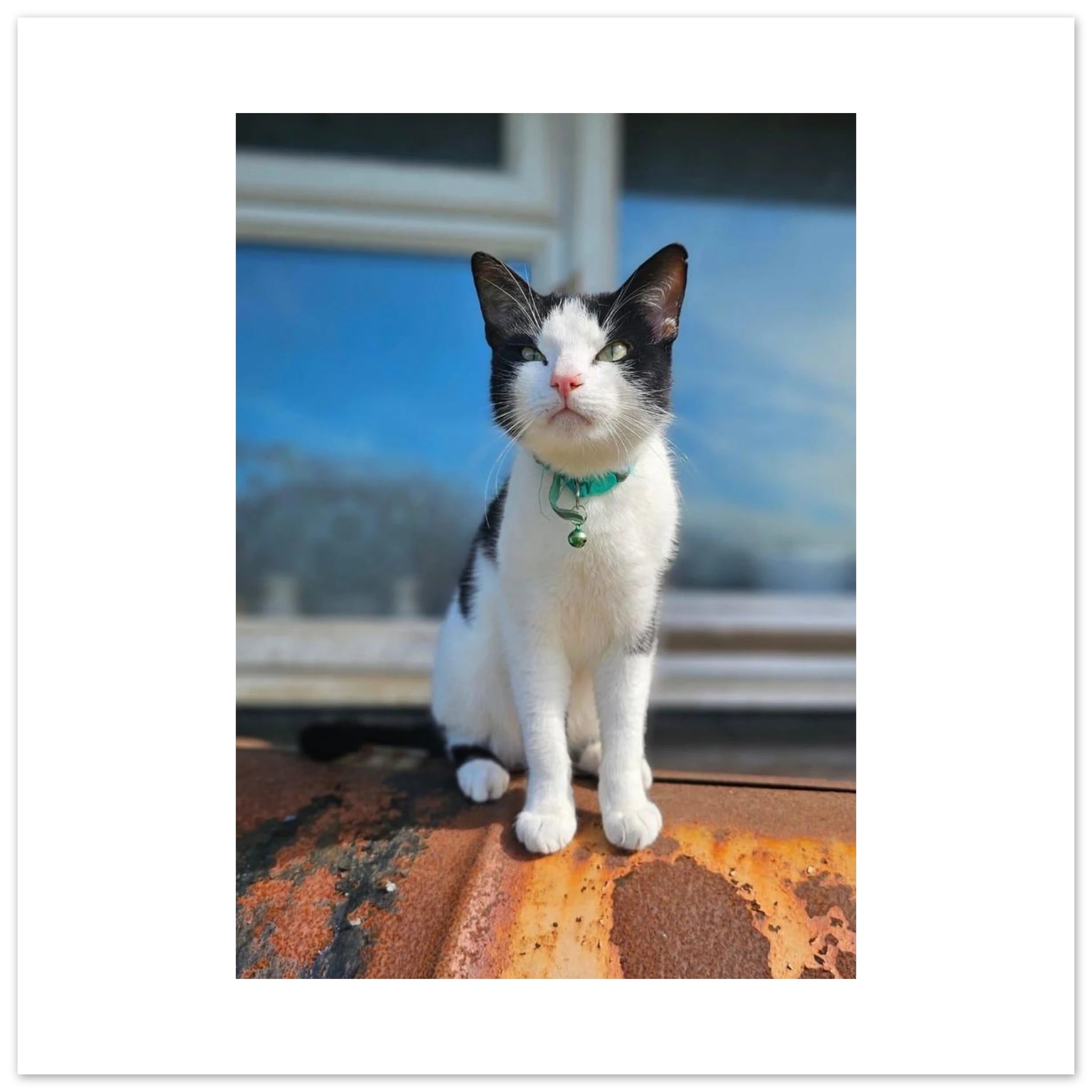 017cc1f3-3998-4086-ba94-43216673f816