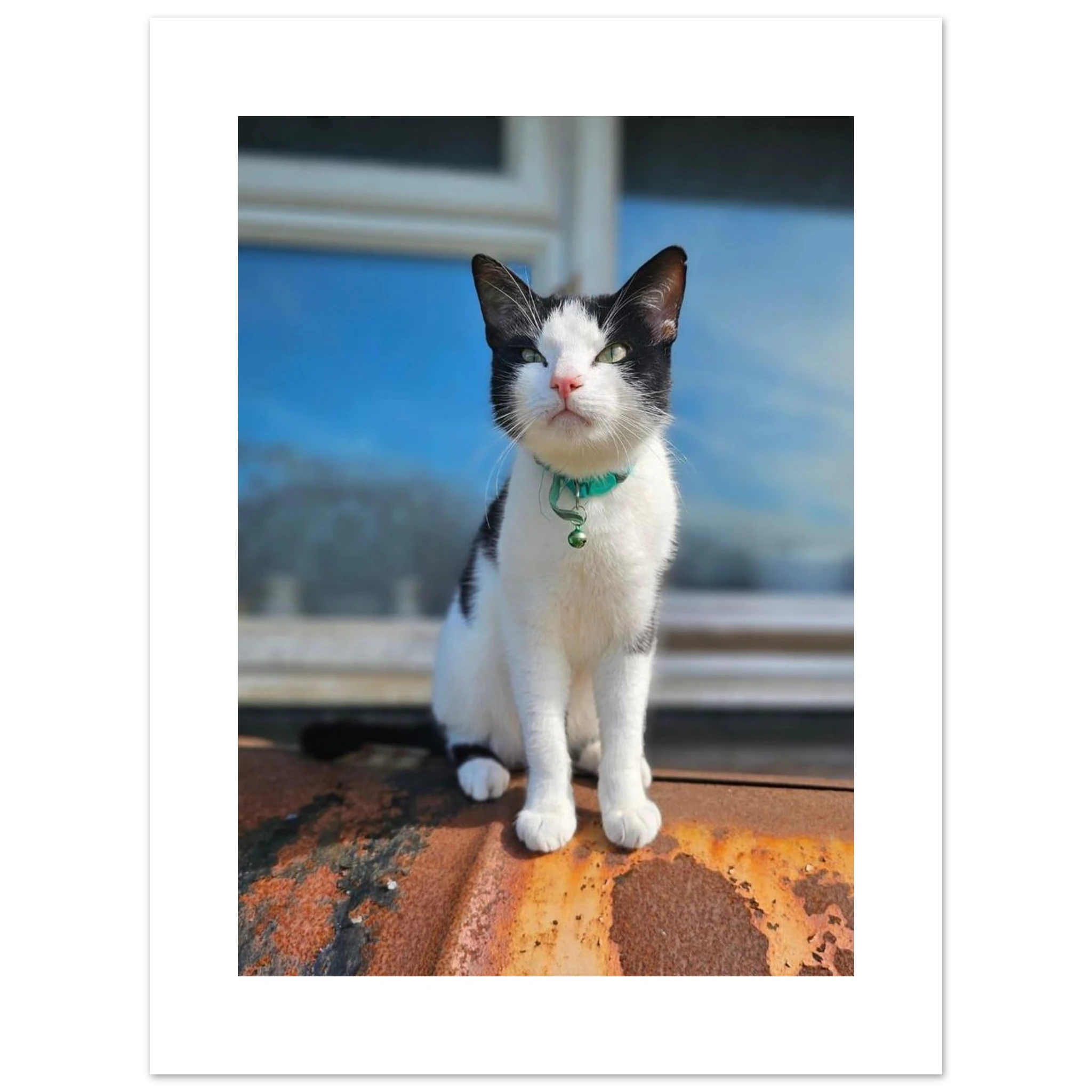 09175def-8363-4714-919b-13ce88e4ed46