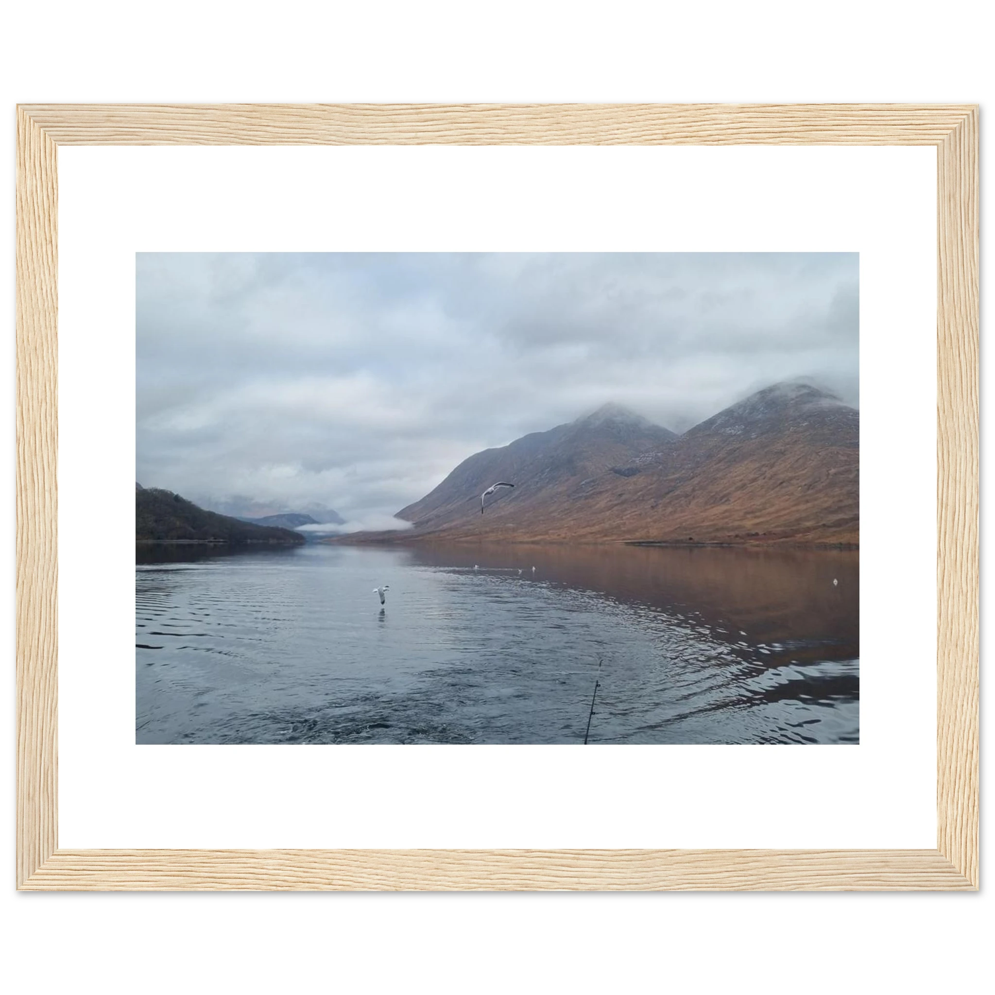 10172883-d951-4320-ac0a-9dd51dd0ee88