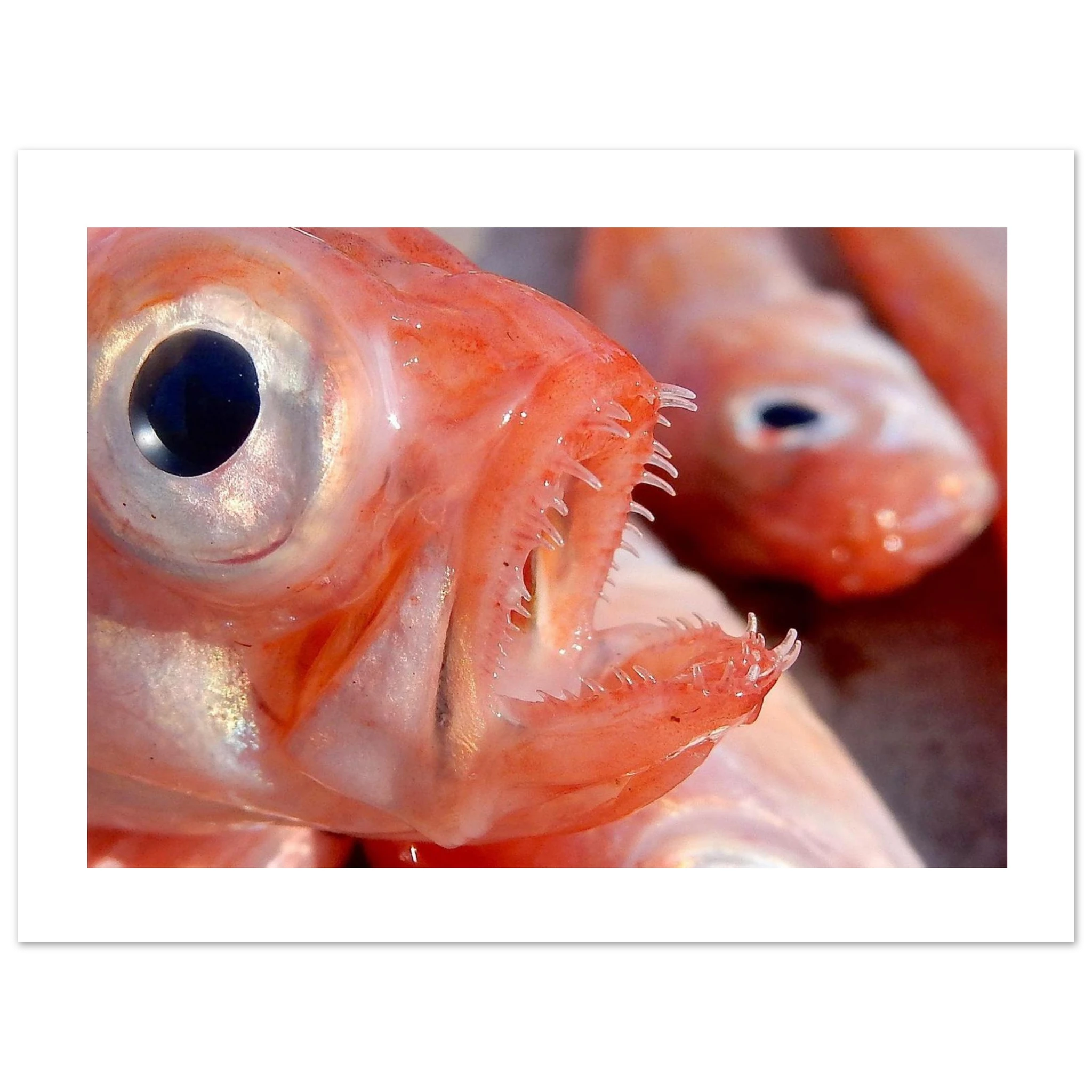 1908441d-d212-4a97-88c1-a90b30279aa0