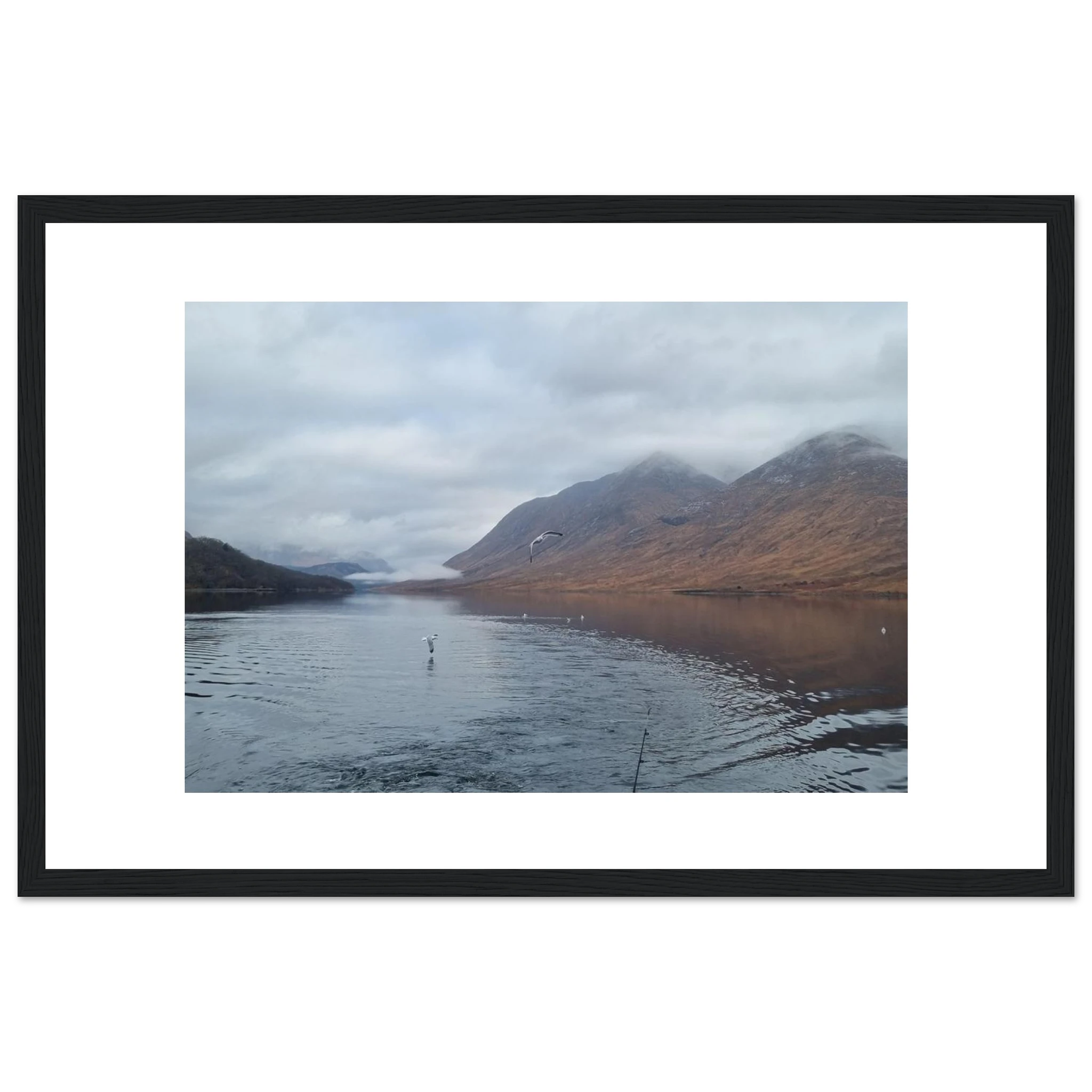 1a34ce1a-f4e4-4a33-8cc5-360cfe4af8d1