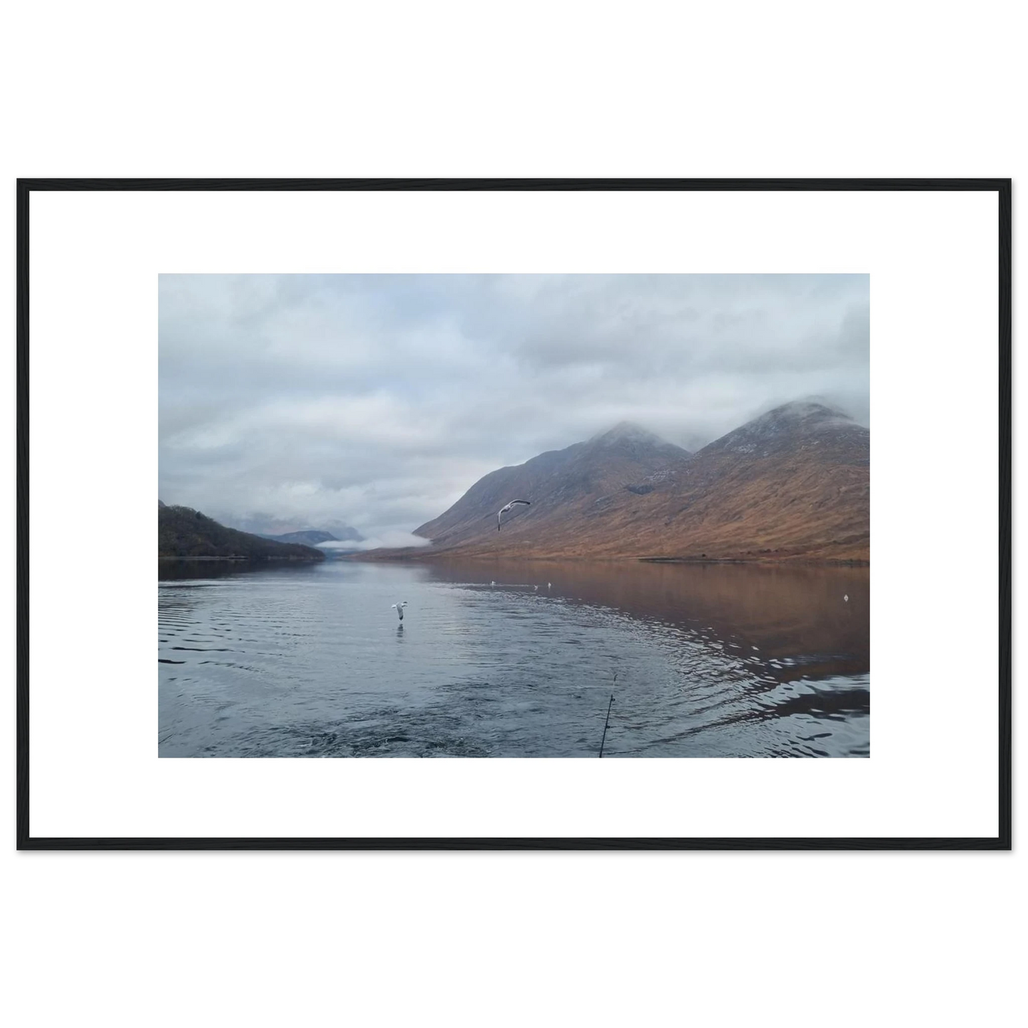 255cb307-8af3-4bf7-9e7f-dcebf7f7cde3