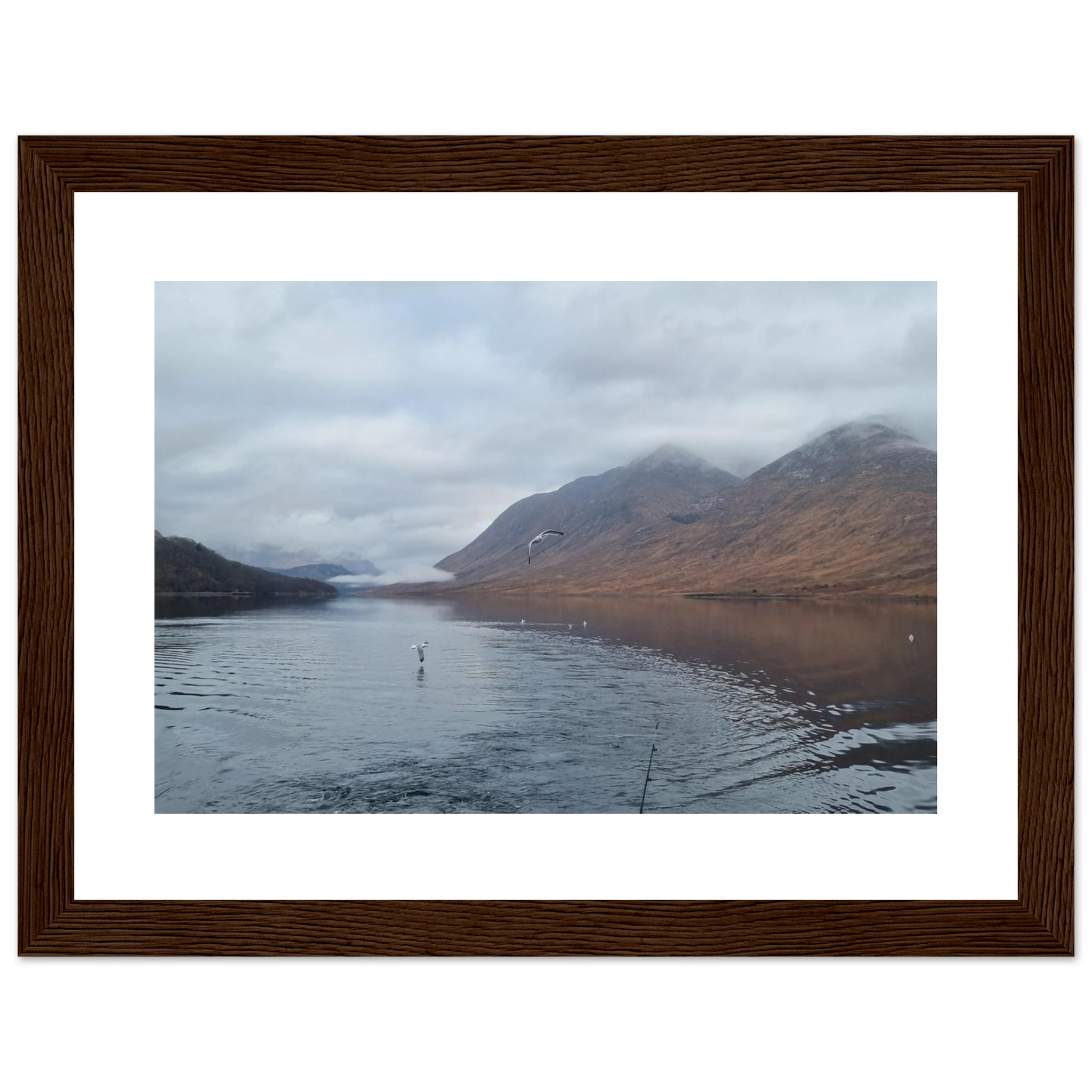 2966af01-752c-4aa5-be39-afee41756d39