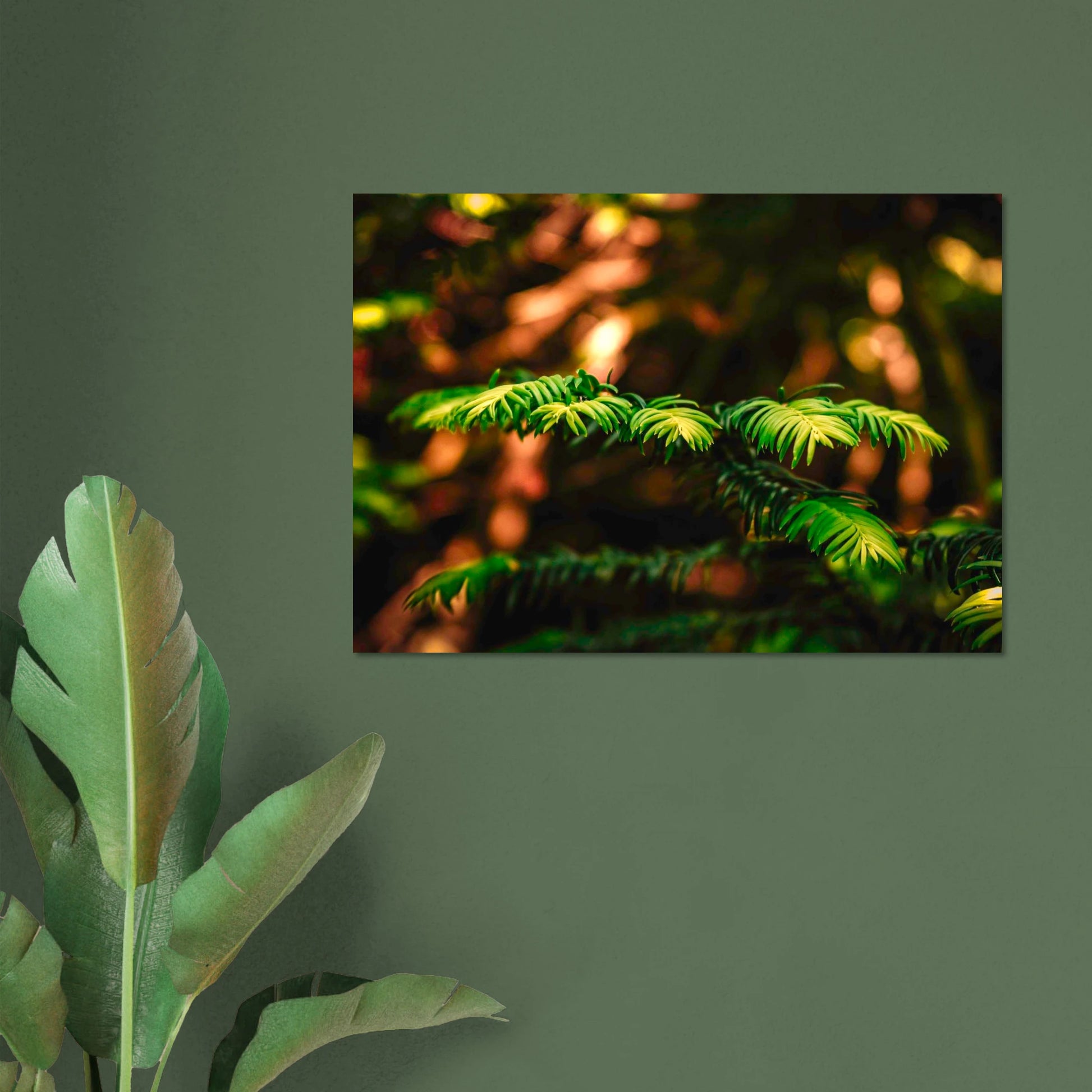 29cff5c2-a0c9-4485-a86c-84c5584d7800