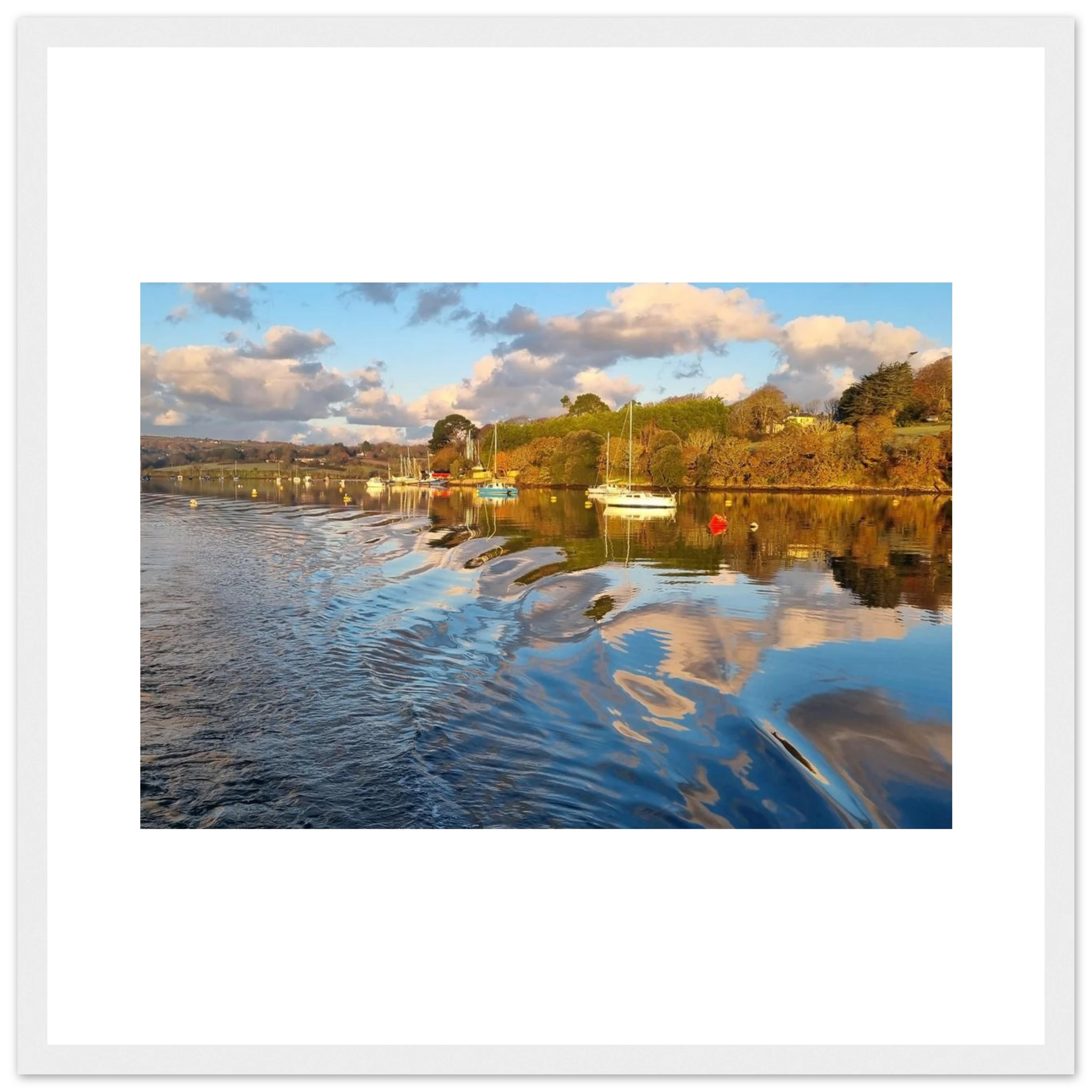 2b88e666-e1fe-48eb-a4b2-714e995cb42b