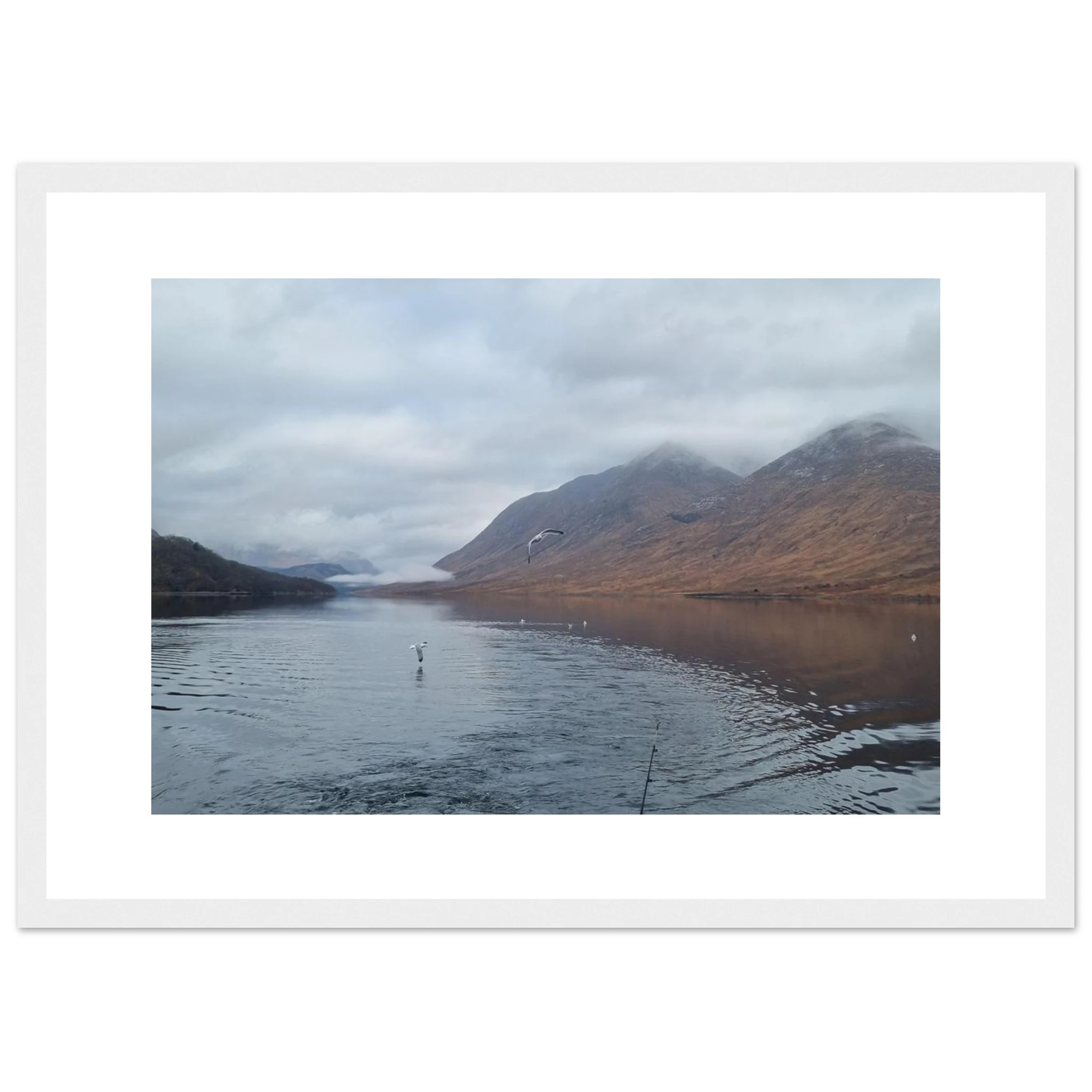 2cb9b4e9-fea6-47d2-8c8c-83d2ecf7c3d8