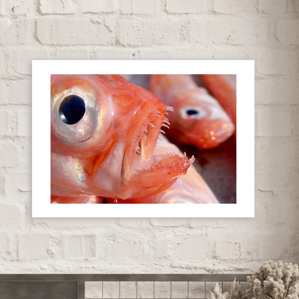 2d5a40ed-2e94-4cf0-9d1d-2698e5ebf476