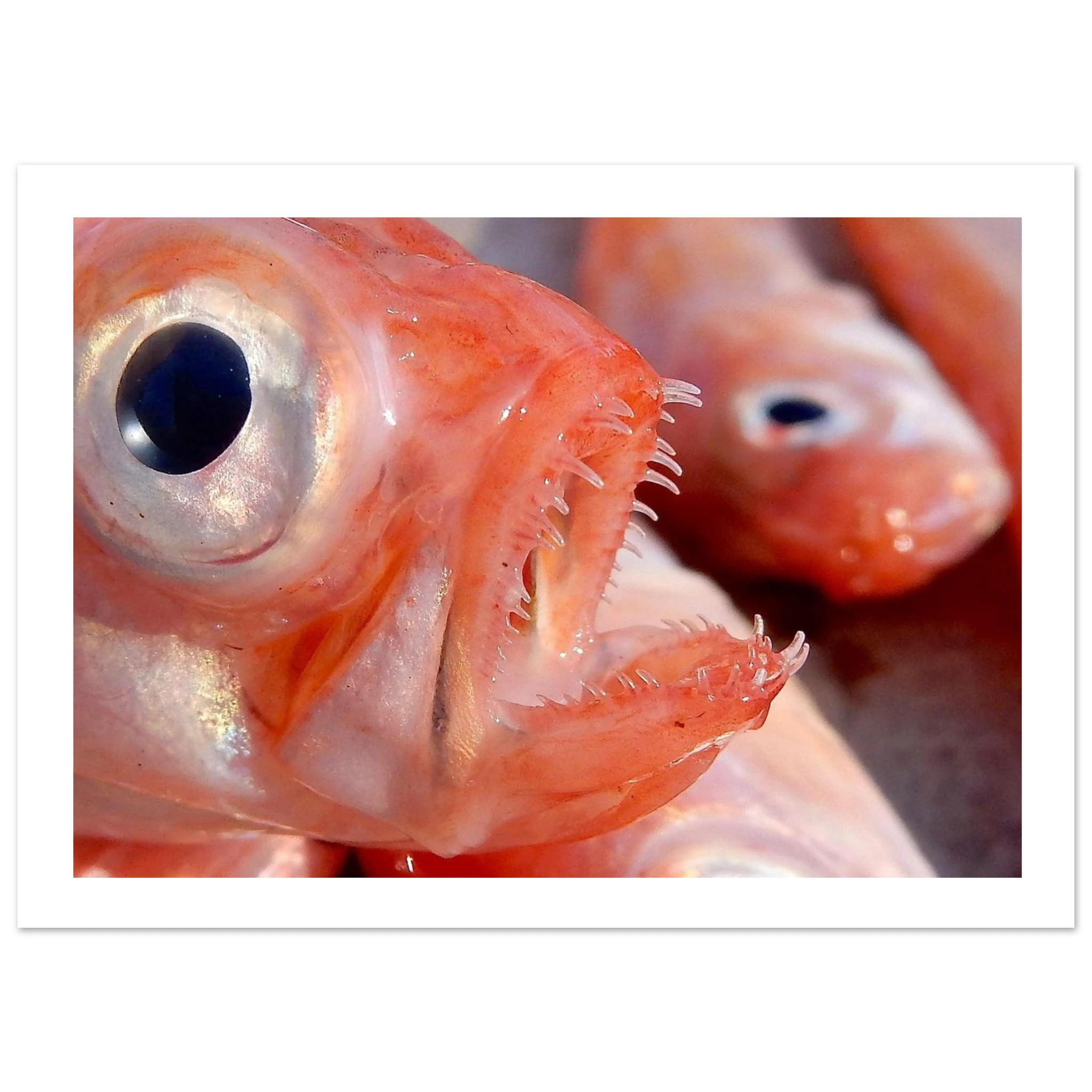 2d80f1e0-5f05-4c59-ba0c-e36f06ffa7ce