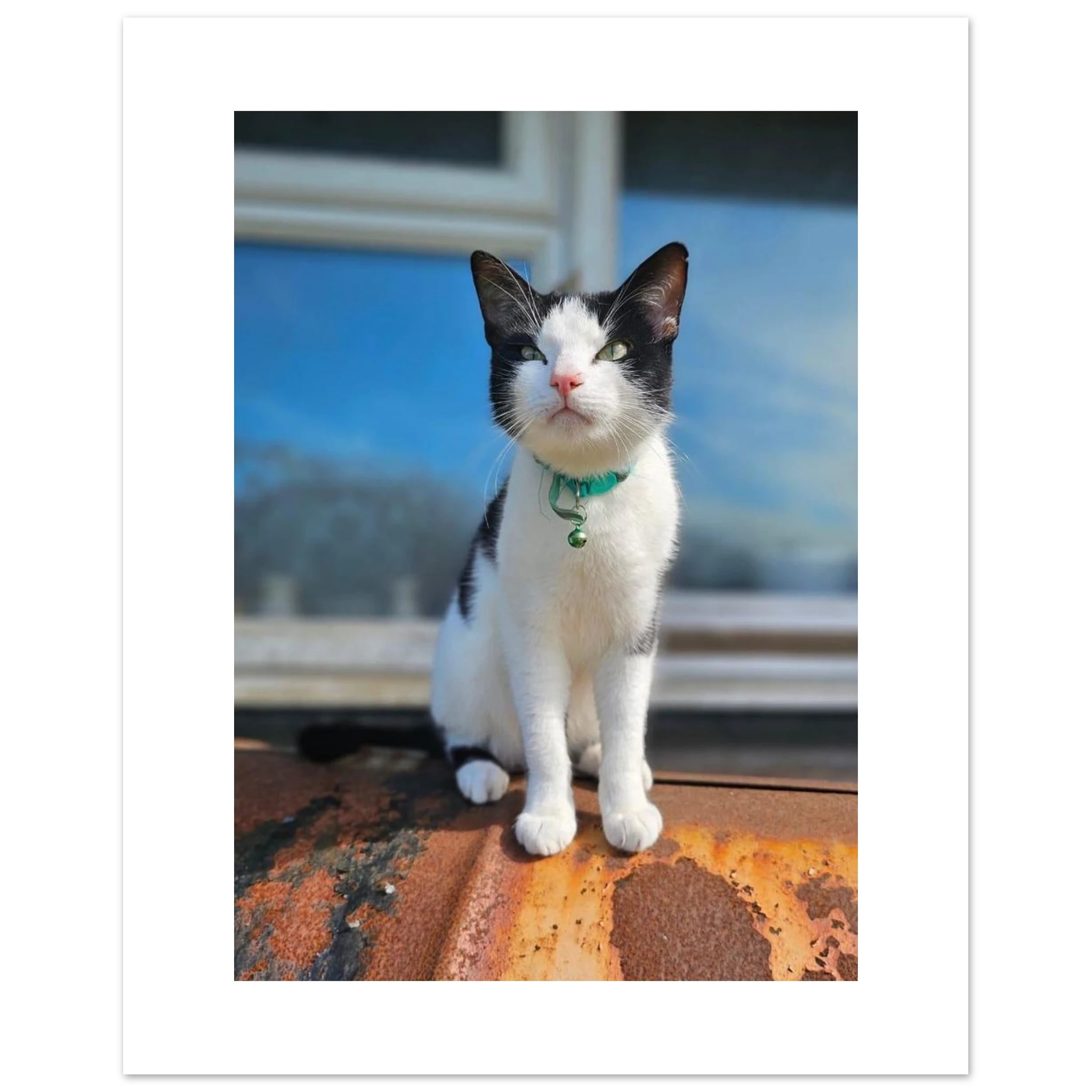 323e4469-600e-4112-b410-ebd19754ace8