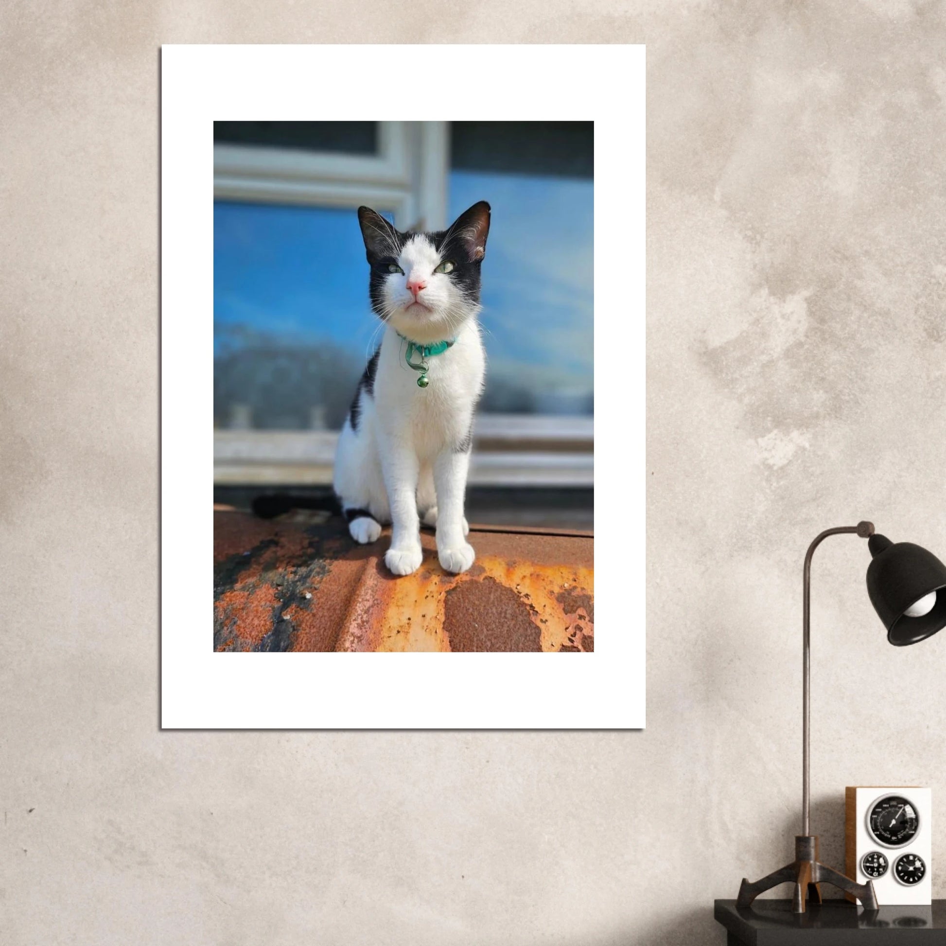 32fb562f-3edd-4b73-8145-172e82352df9