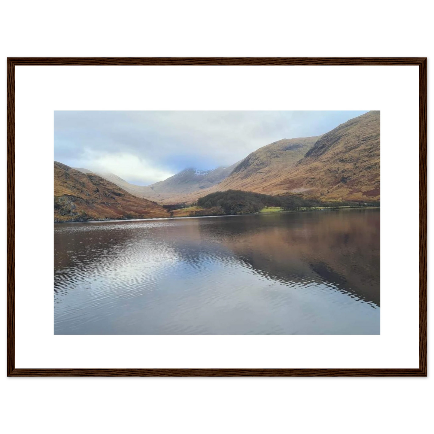 34963f9d-639b-4167-aa82-6bb932f560e1