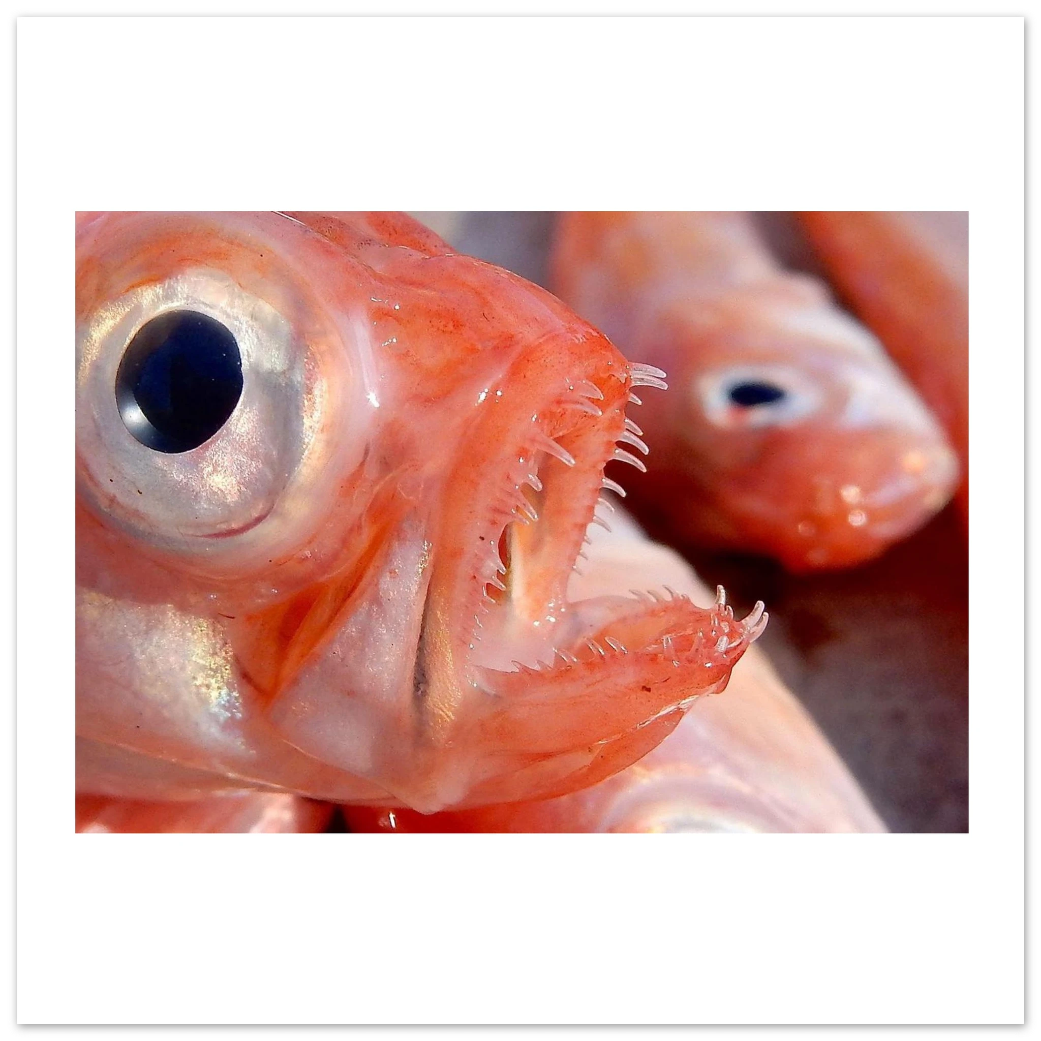 395a9016-45b1-496a-b8e7-b7e966974661