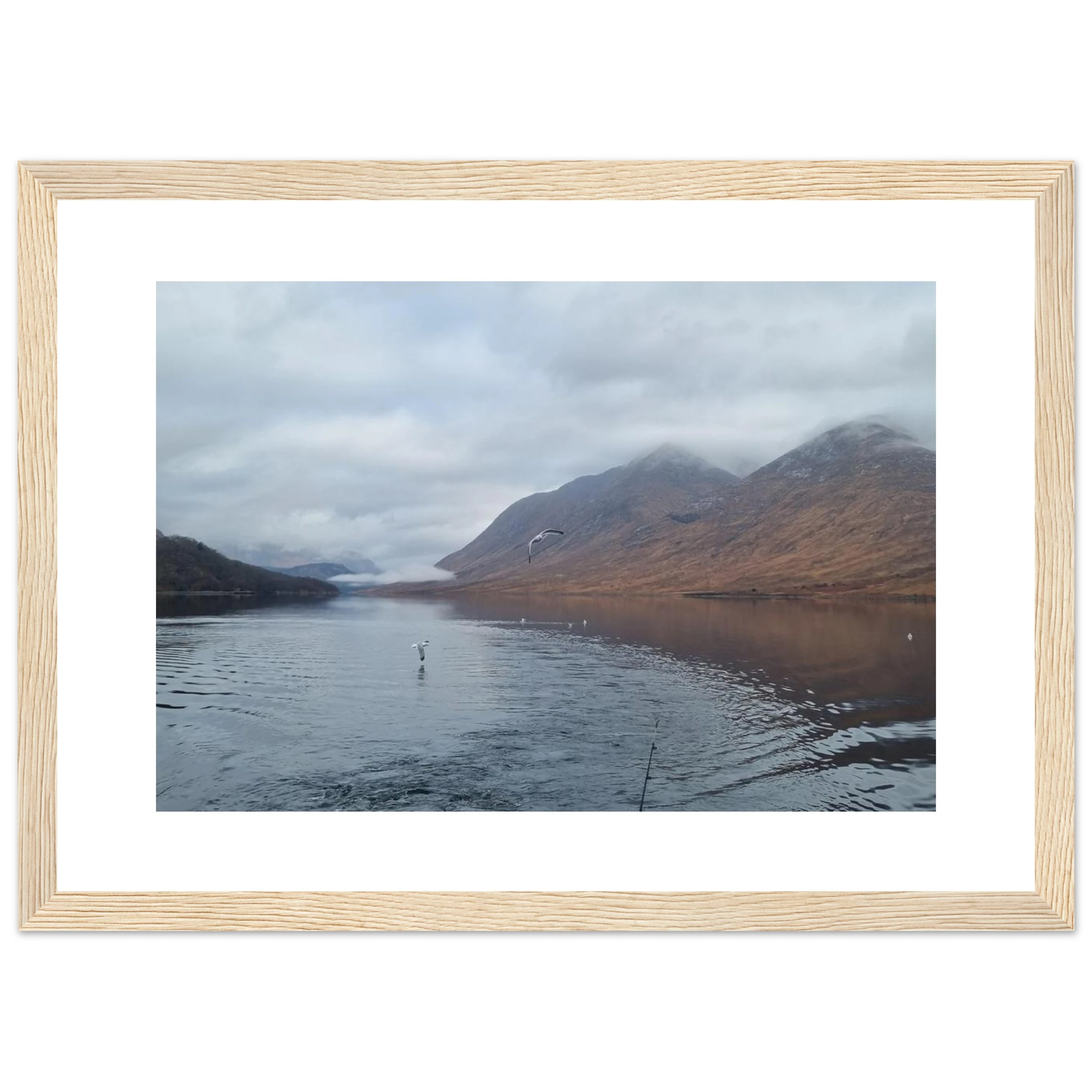 3ccccbce-9503-47a6-a314-13789600a6a3