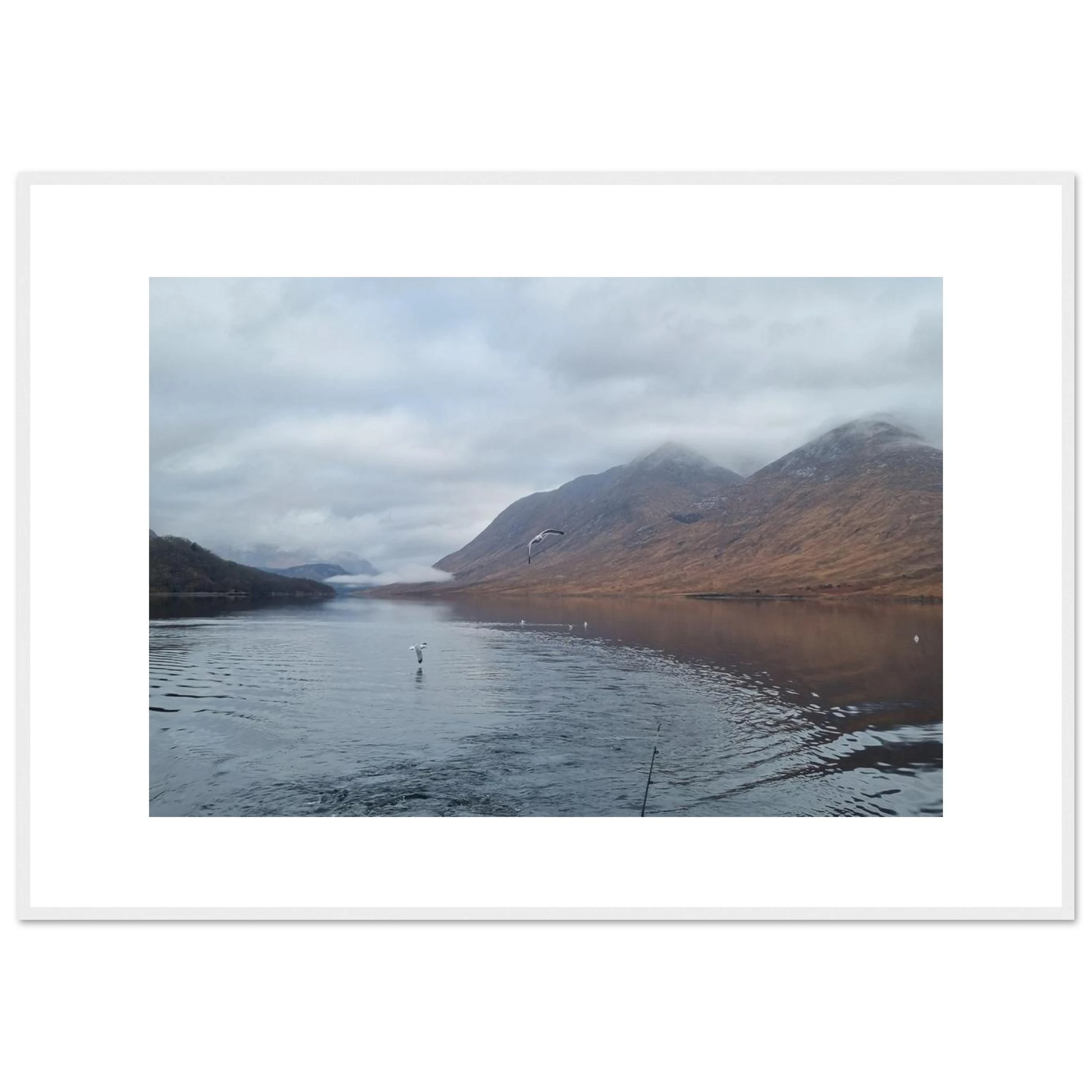 3ef19bbe-e066-4a7c-8ebc-523f68e01e22