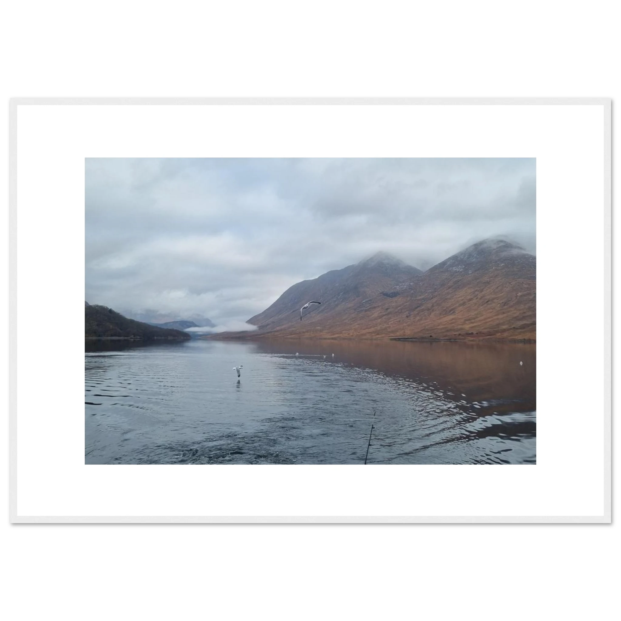 3ef19bbe-e066-4a7c-8ebc-523f68e01e22