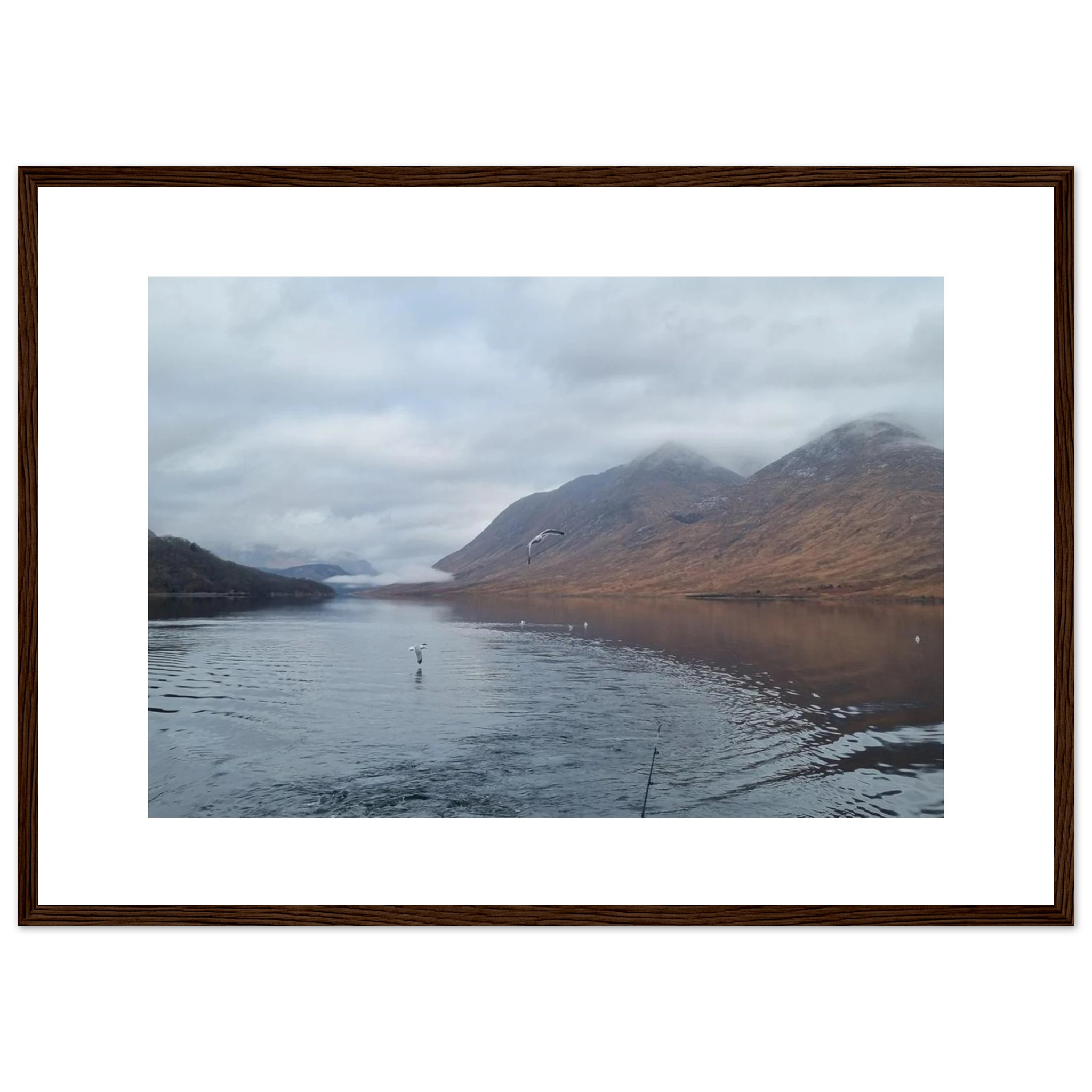 3fb9d323-8cac-4e02-9c06-ca2f3ce4dd7a