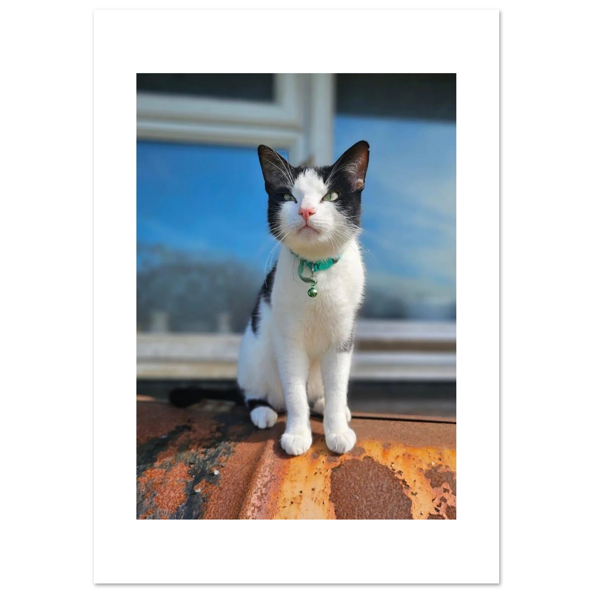 44c67fbe-41dd-45a5-8f6a-3546c32a3d53