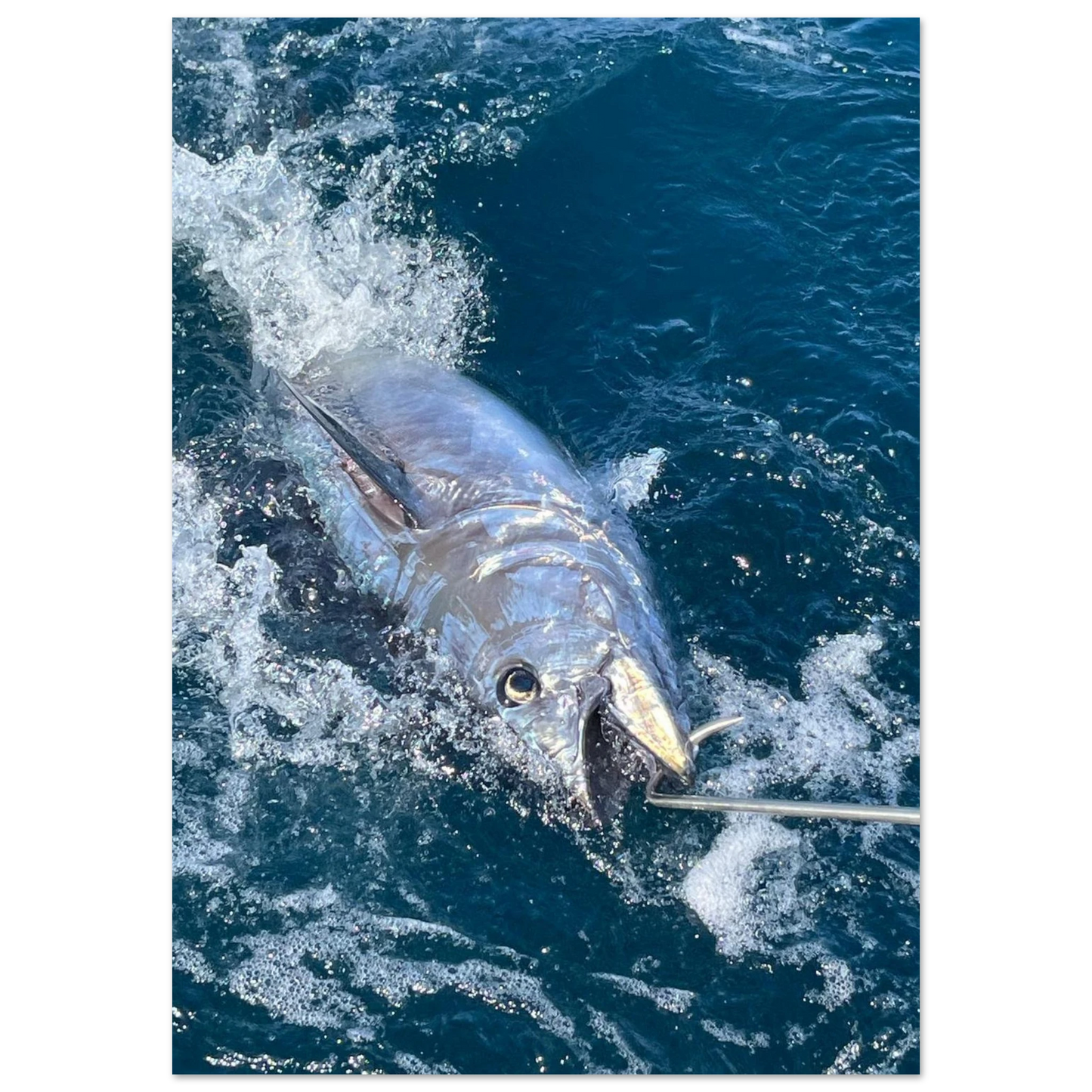 44f710c2-3da9-4675-b794-761ce1b085a1