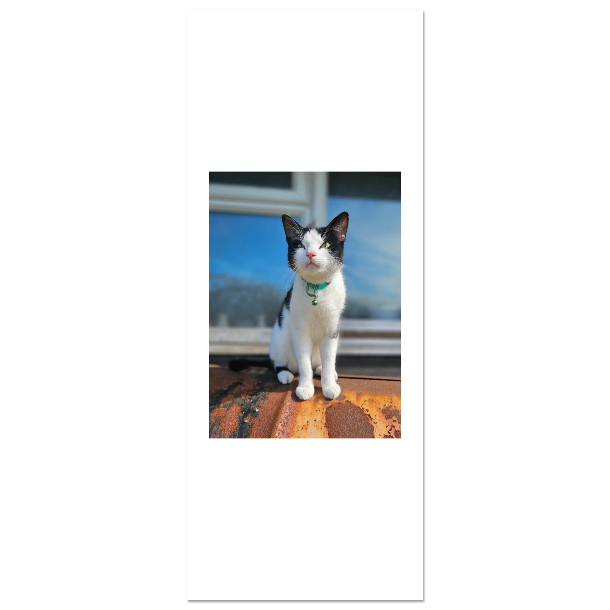 45f6e111-9373-4c54-be6f-4d01b15206ff