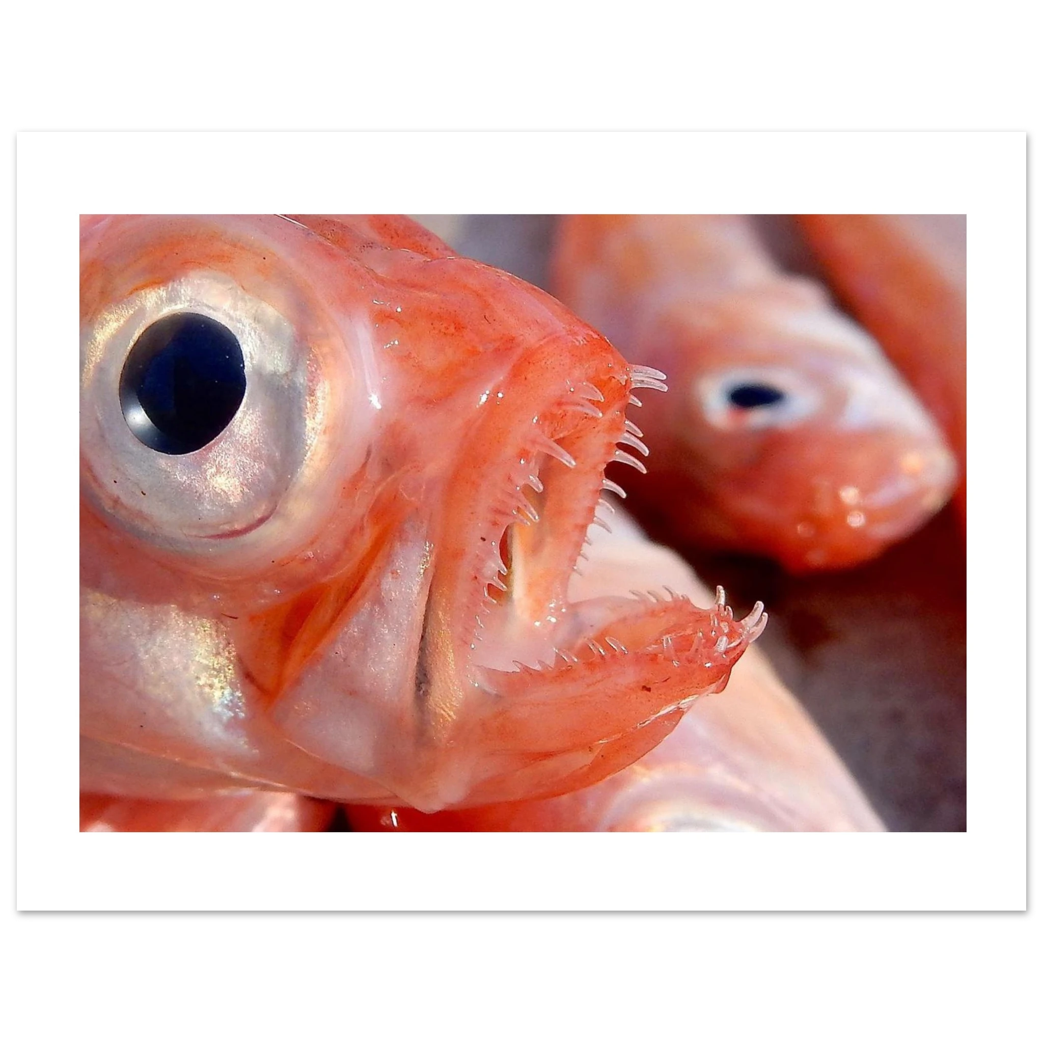 49218b9b-a82b-4582-9c15-9aa832f22b50