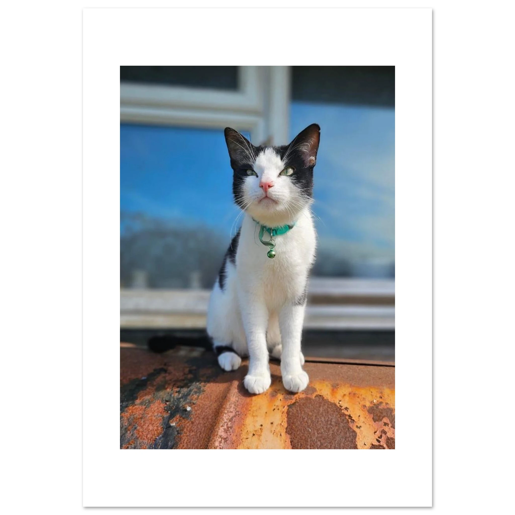 4dafd926-bd19-4619-886b-36831a7d82f2