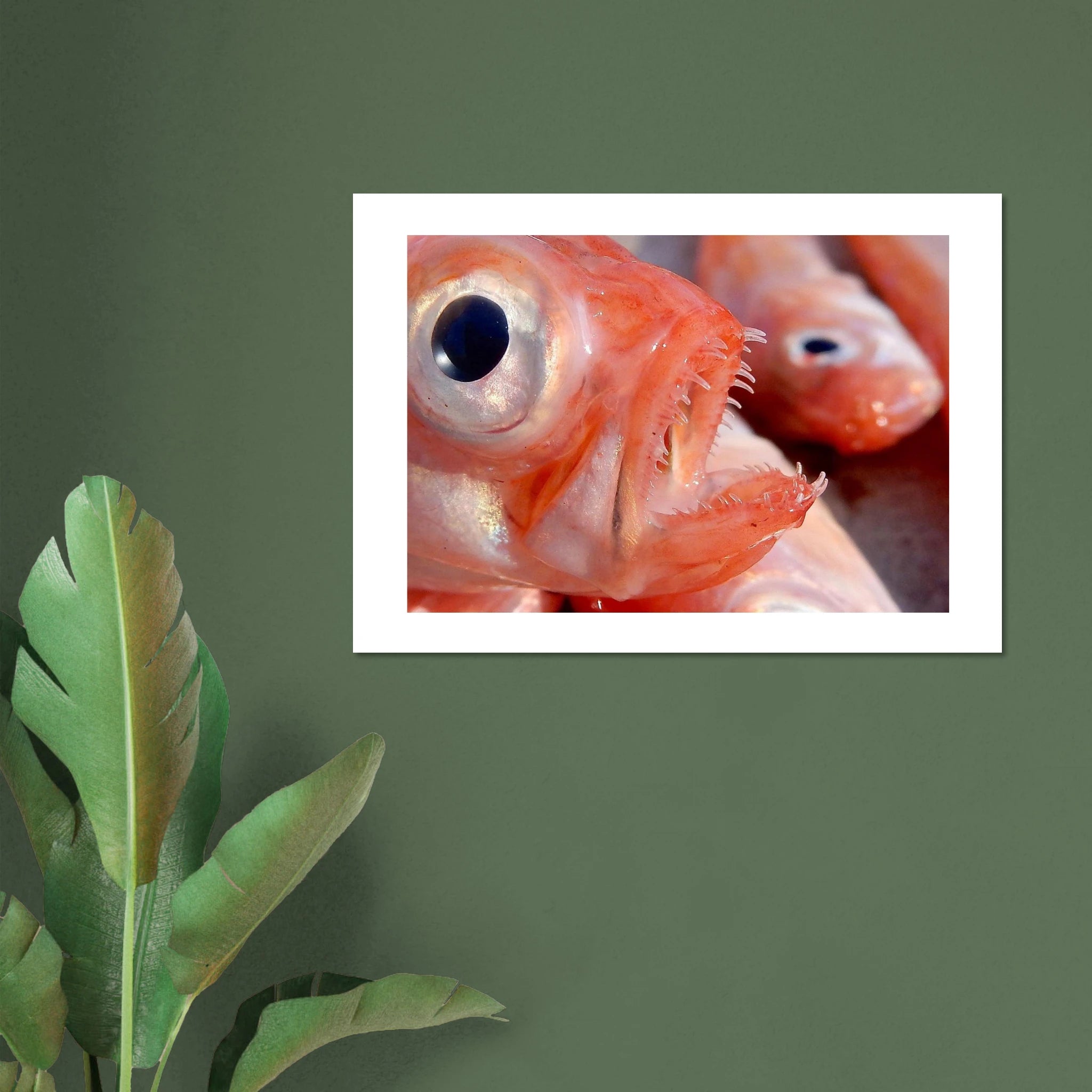 4ebfa63f-c917-4da0-a467-282ae1ed2259