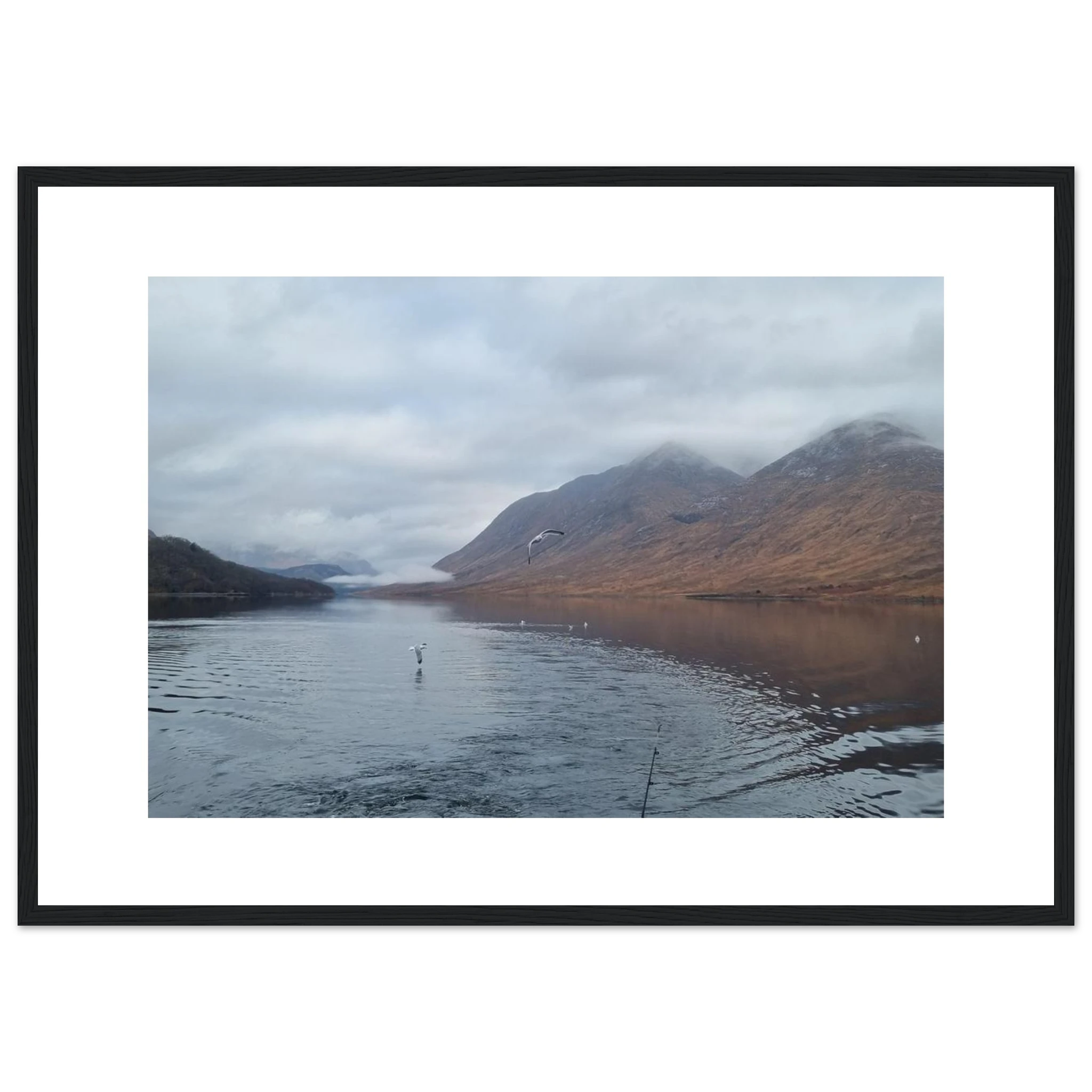 51170780-1ad1-4750-8308-66559e4ec70a