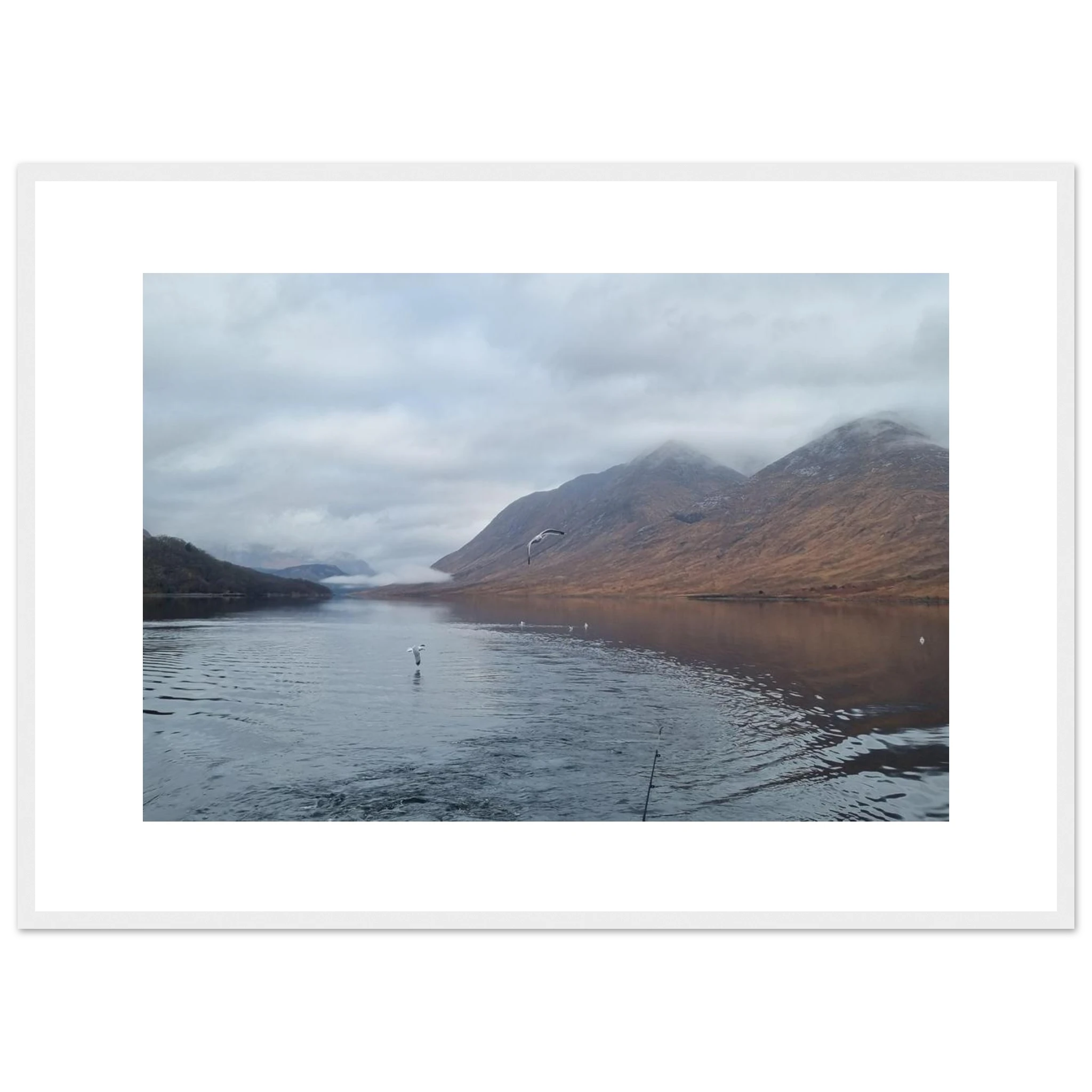 514b0d9d-ea24-413a-937e-efdc4870ad72