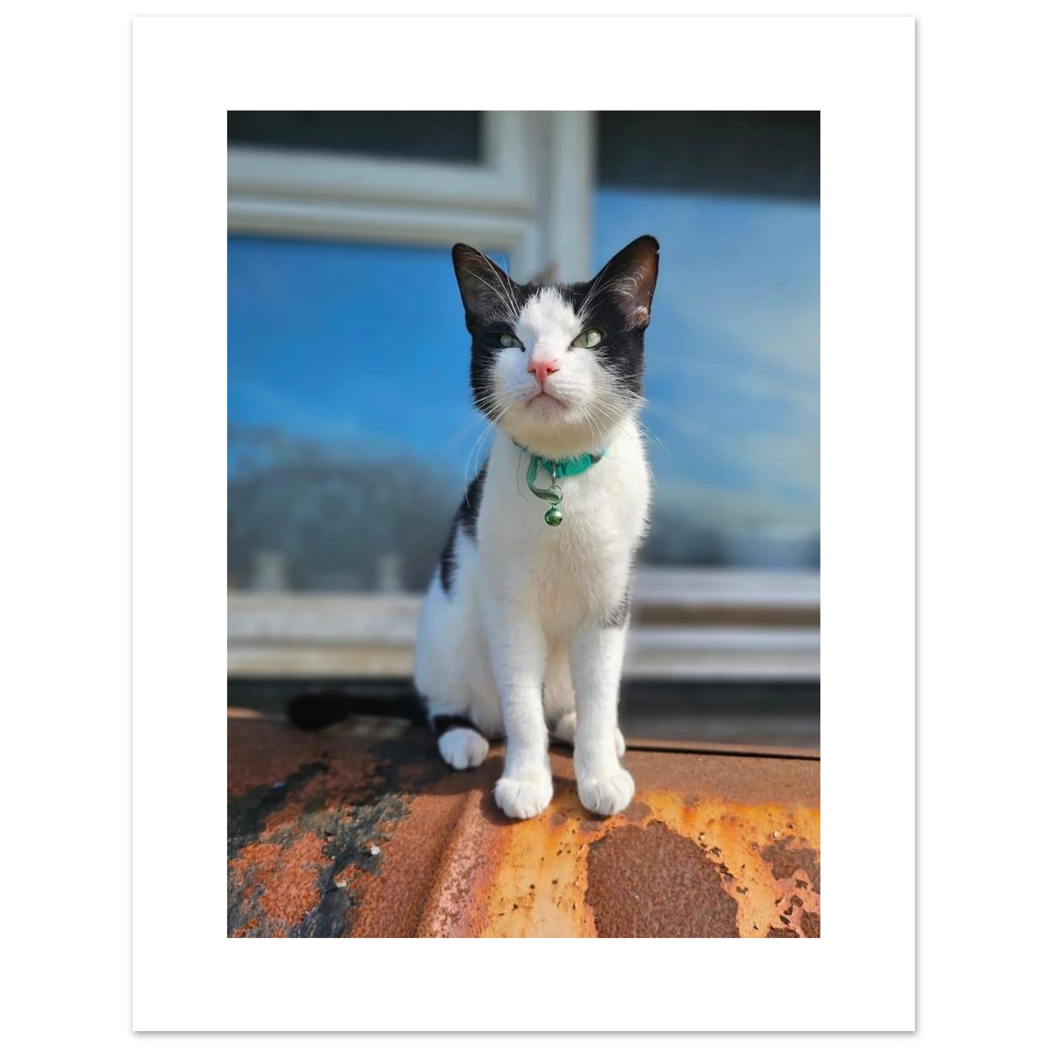 5649ddf3-7a4a-4c2f-89fe-e2b870cf433d