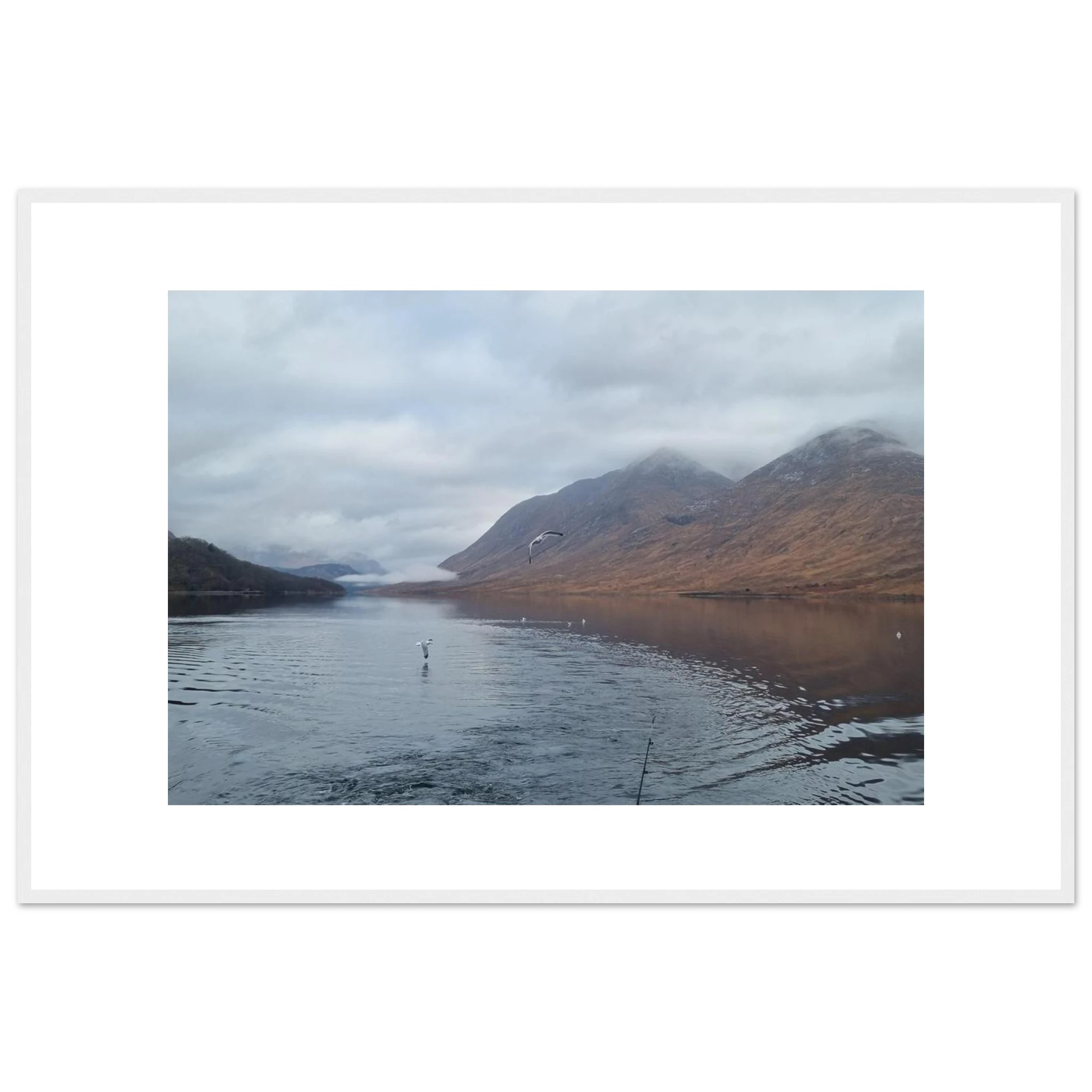 56efc30c-b7a8-49f8-bc51-dad71b2adca1