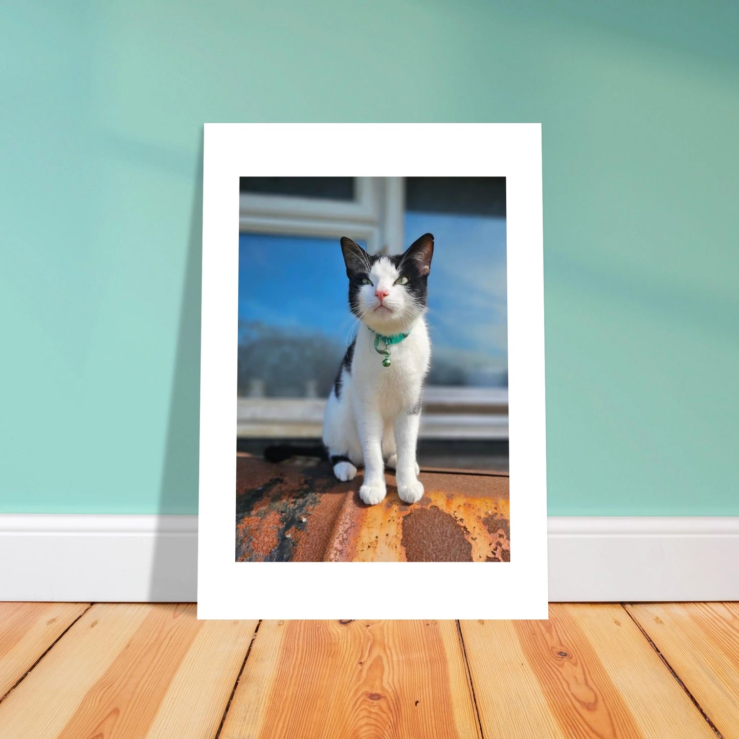 5c5b56c2-4136-4086-9bdb-7afacbbf9163