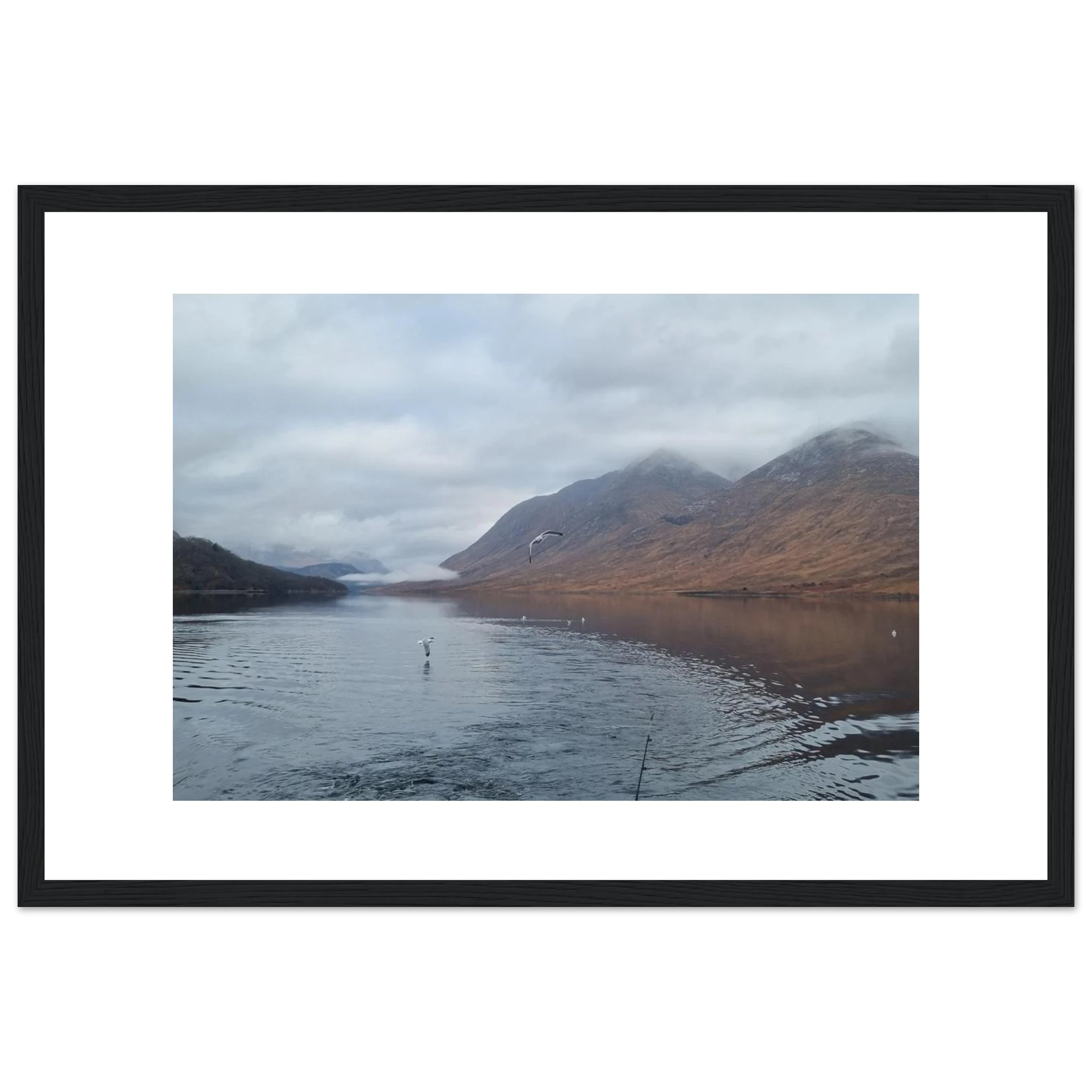 5f595a37-1399-46c6-abce-2f0a08f47dfd