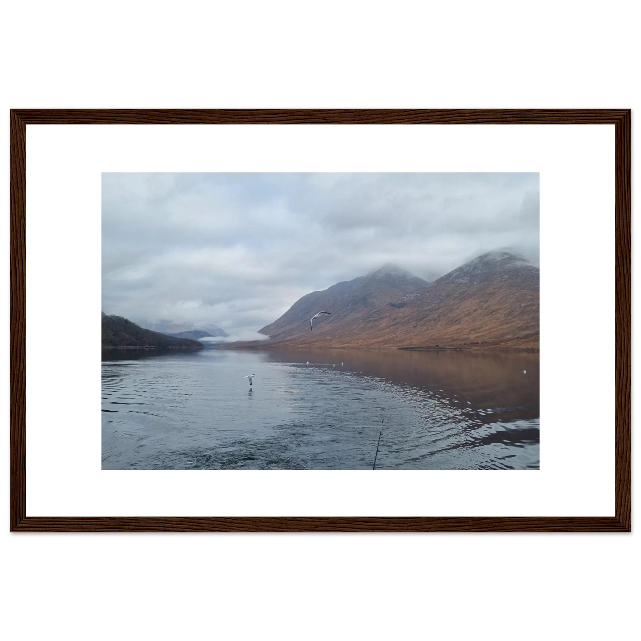 5f5dd36b-583b-48d4-b558-e6b88e6e4380