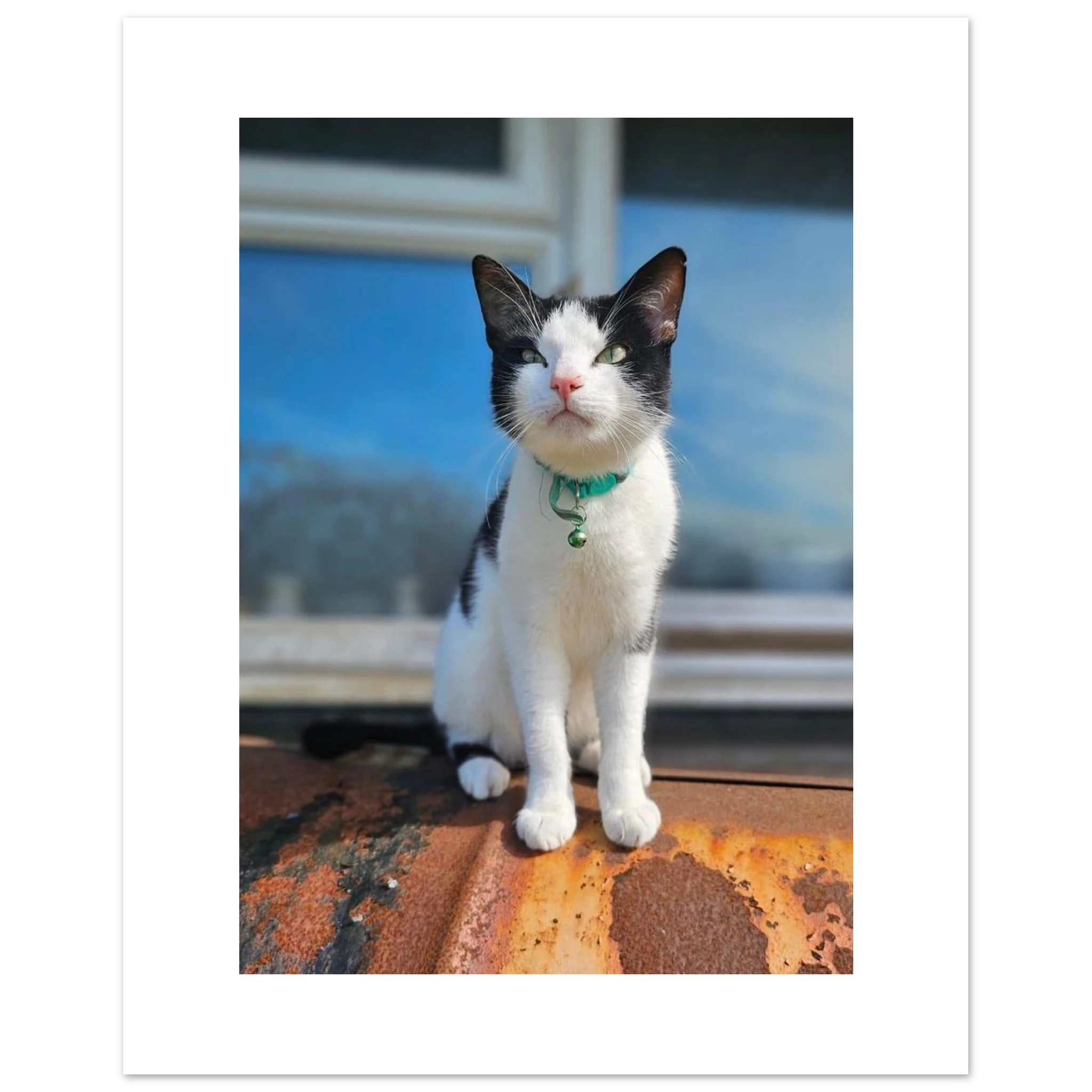 6050132e-ed33-4674-9d69-1450d4187cce