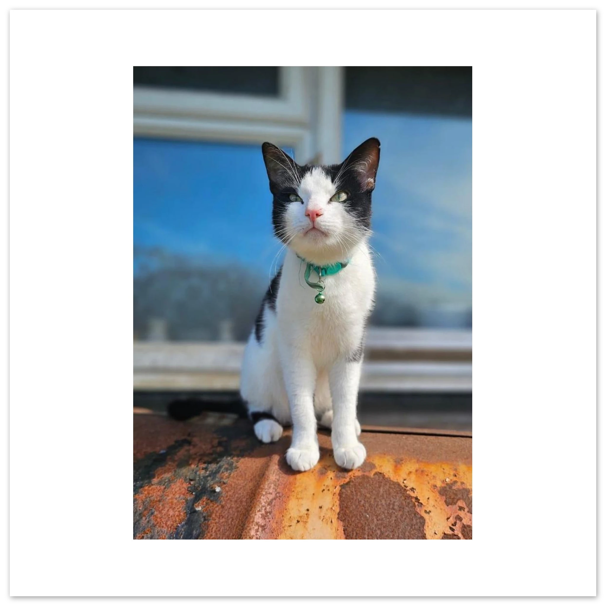 6059817f-8e2f-4f27-ba7b-1d41ba9d1461