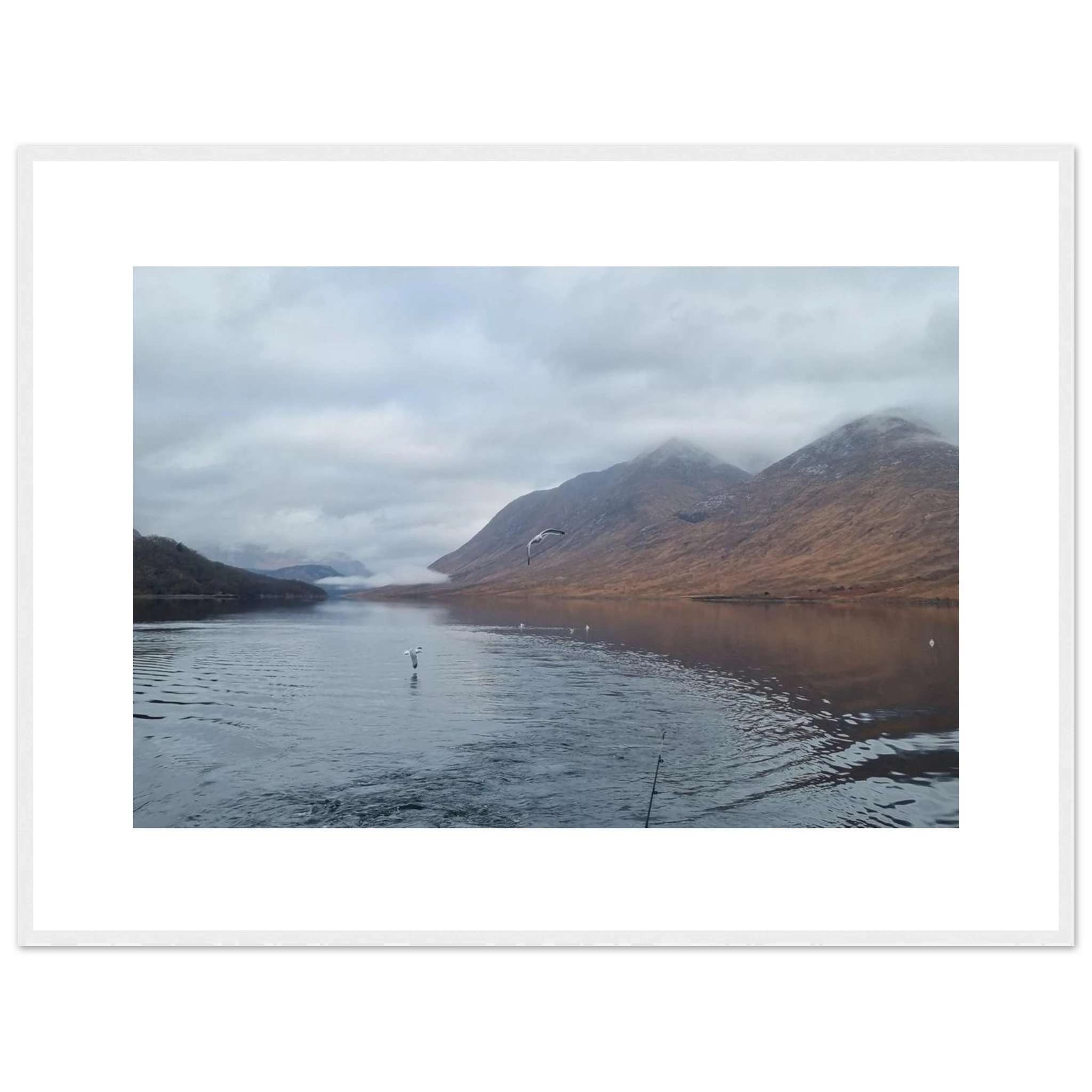 608dae7e-16a1-451b-b3c2-95c20068bae1