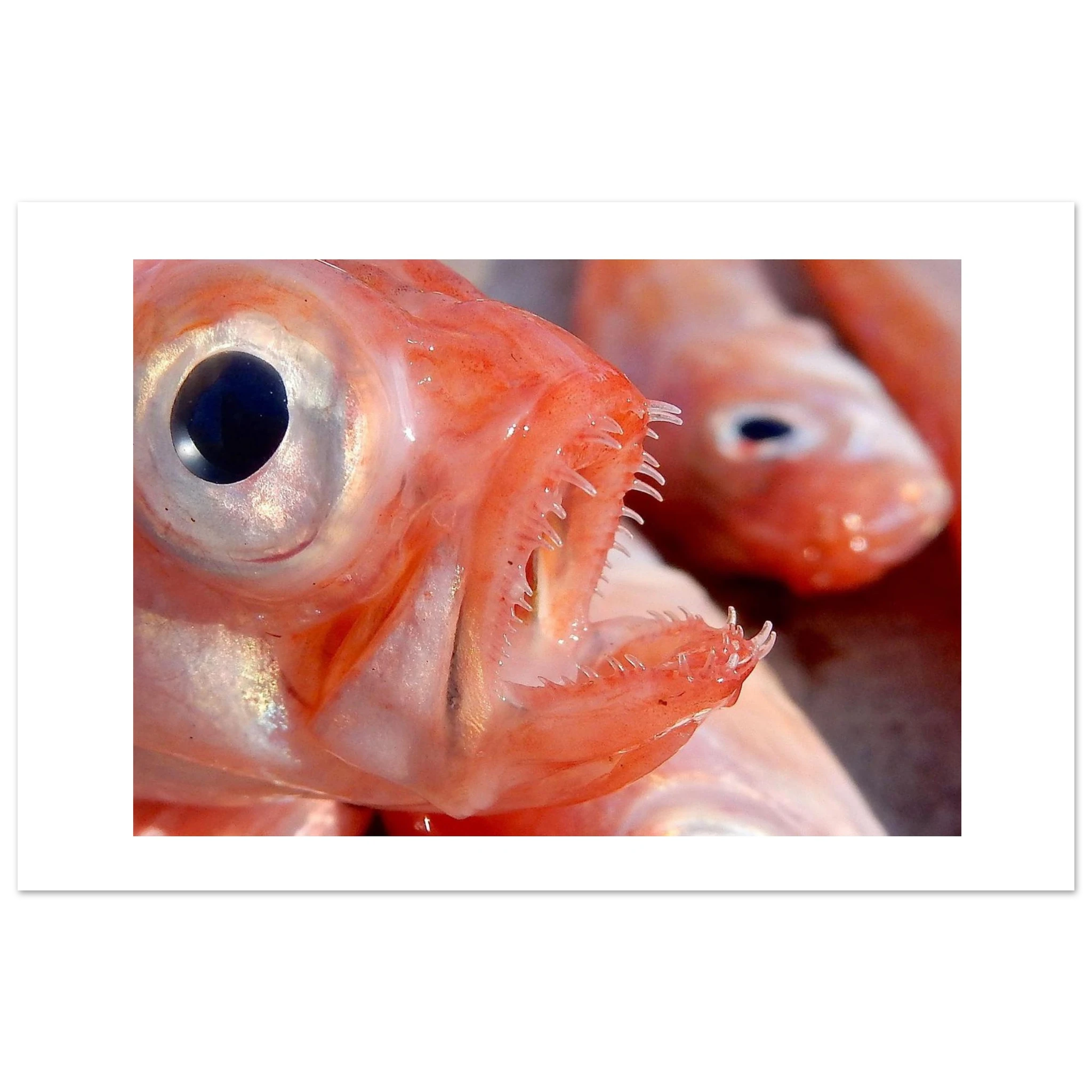 634a4ebd-6182-44b1-99c0-ac8114cb0e10