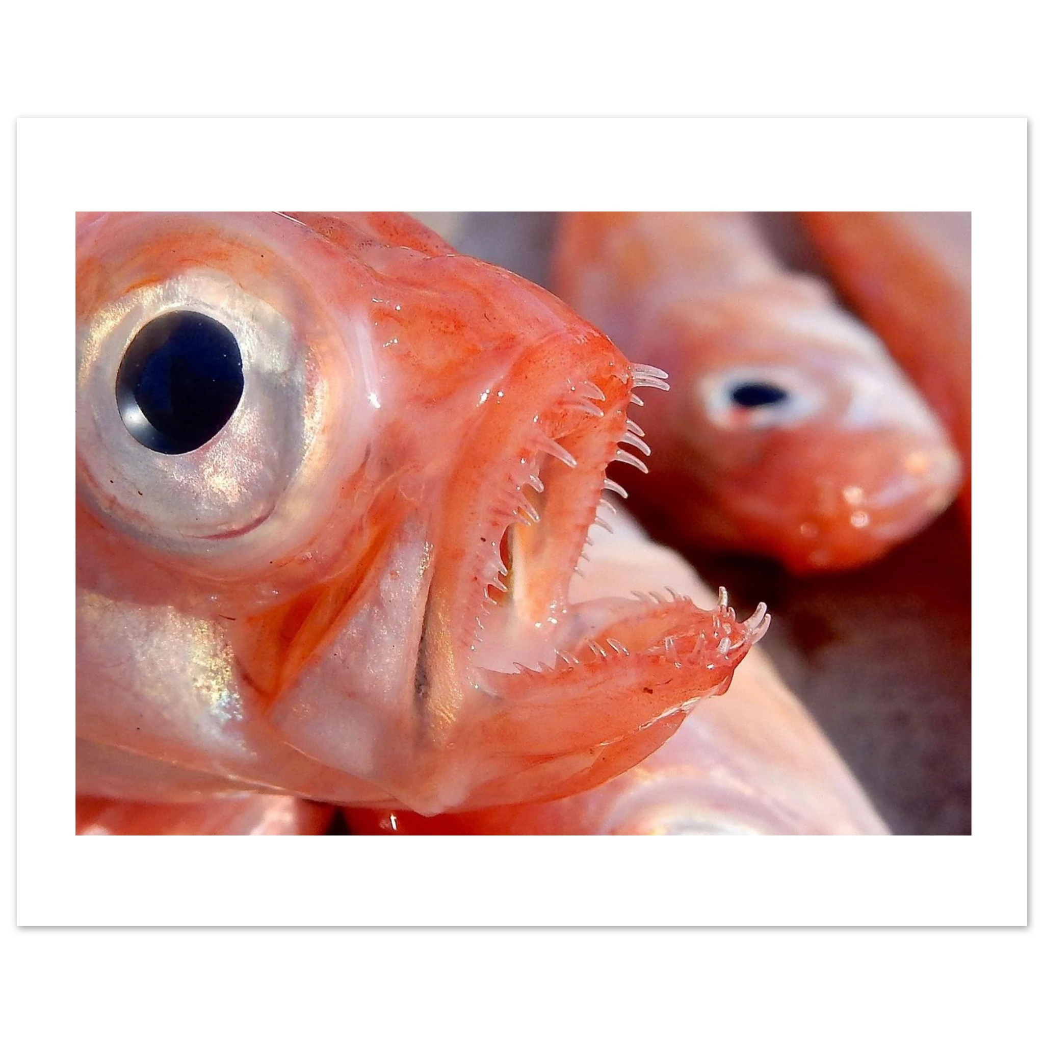 680d30f7-7b65-498e-8555-3cf0064a1bc9