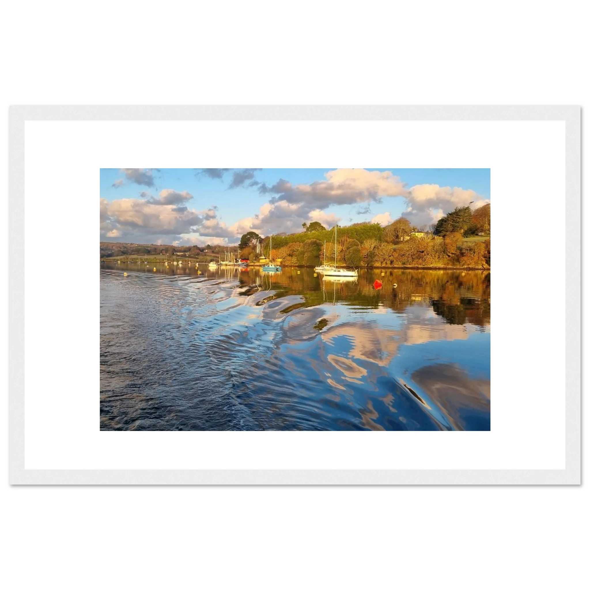 70e9d93f-a4d5-45f6-a681-a8f9be9814c2