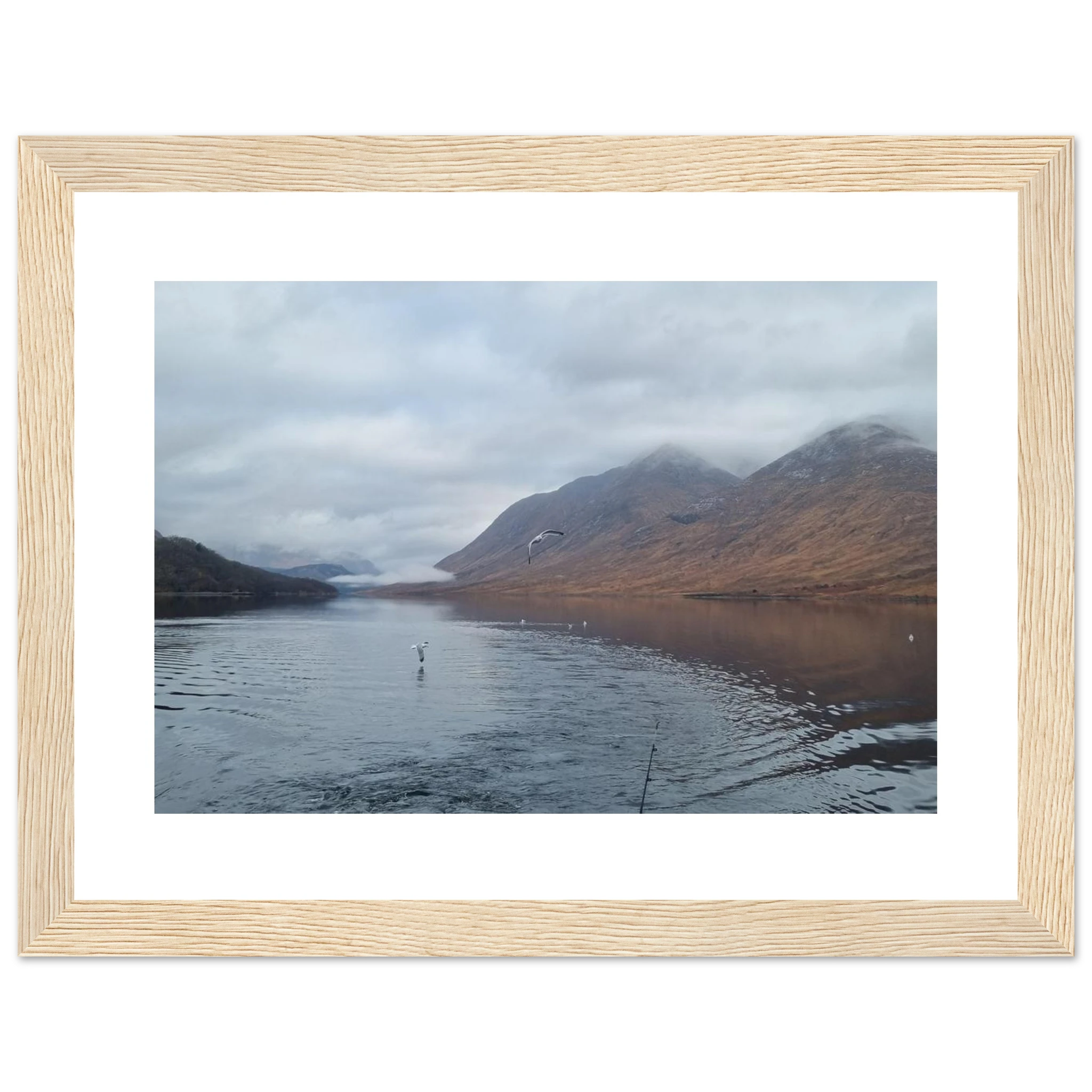 731c046a-924a-4f26-ba15-4ec46fe9d155