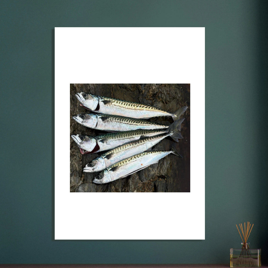 73bbc2fc-dc48-40c5-8a62-25a5e0297f64