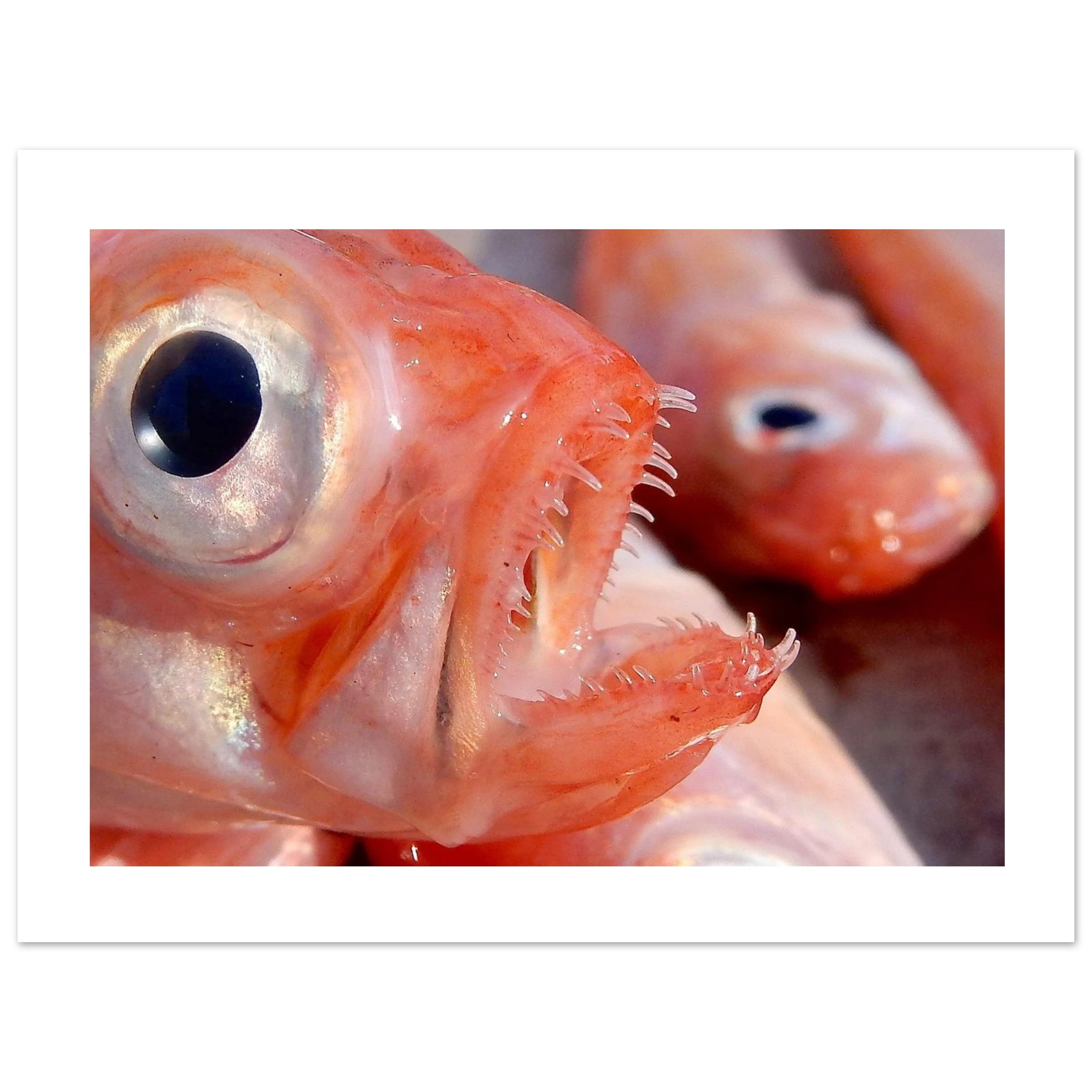 75ac1069-5b21-4586-801e-57129973e2fc