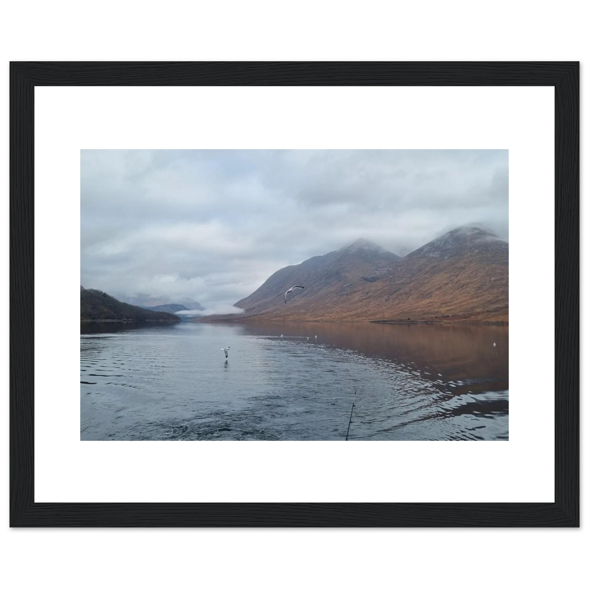 77174dc2-dda6-4907-9069-6e6b43bf75f4