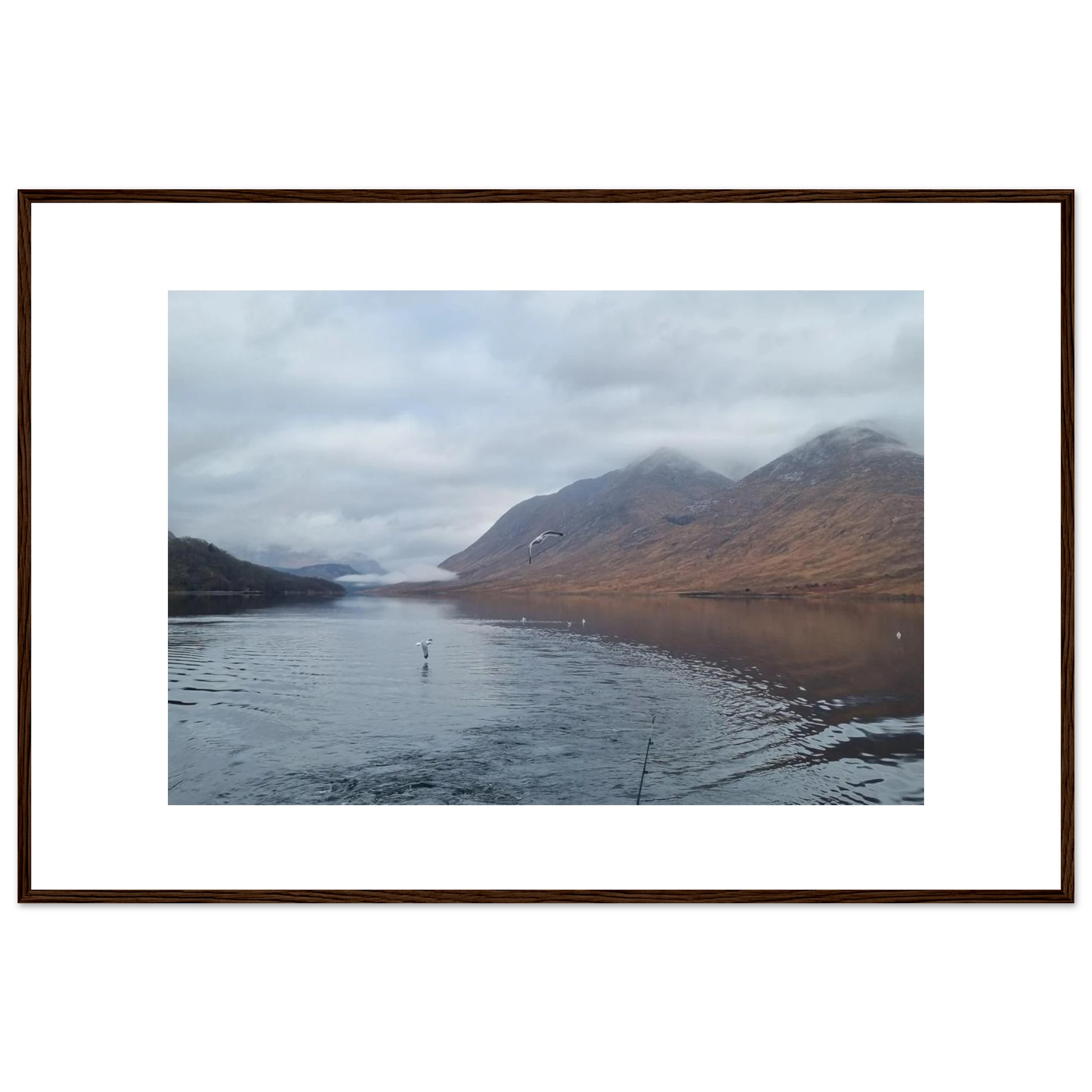 79dbb6f8-65d4-43d1-9112-61fc72dc535c