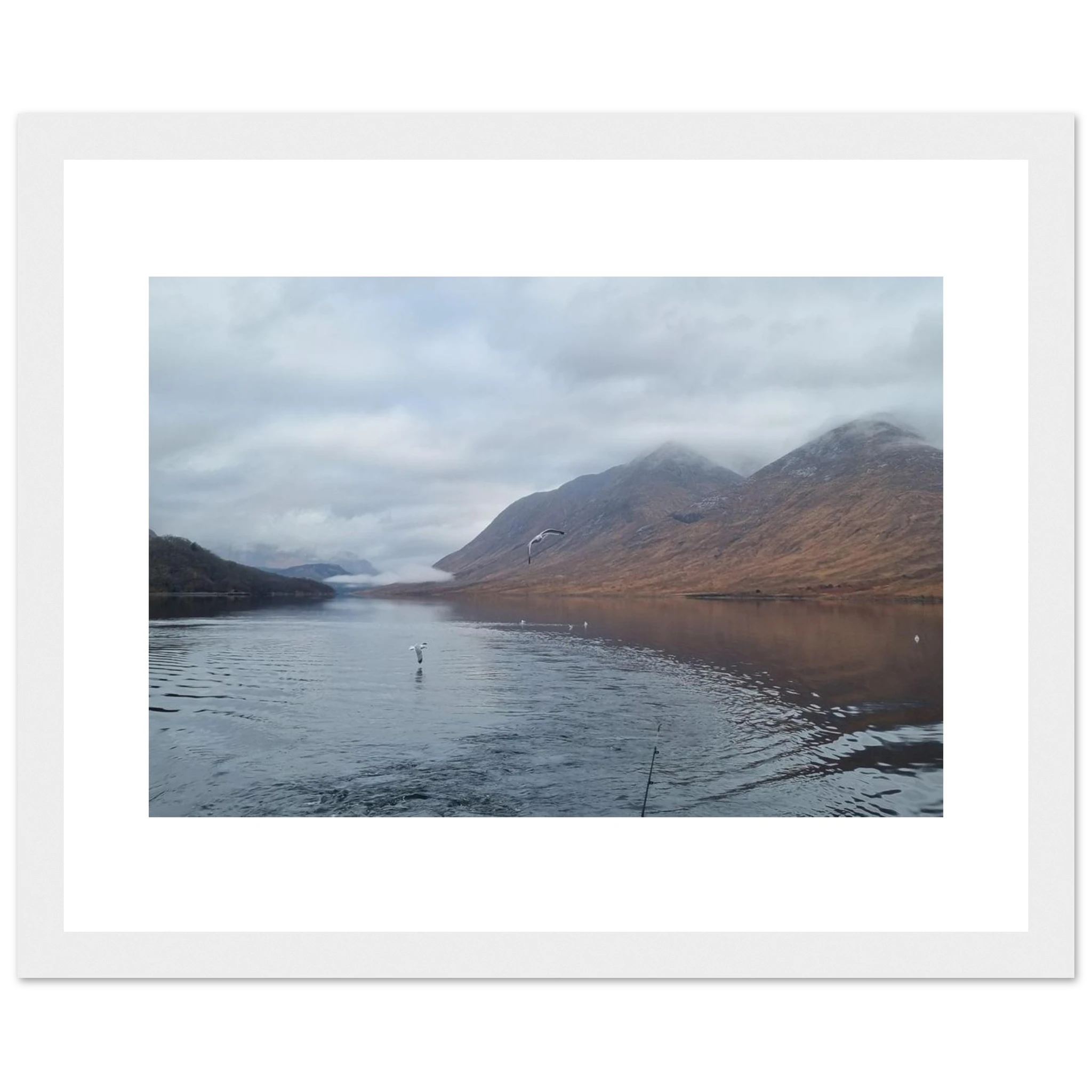 7b8842d1-0b95-410b-847c-7723f471cd11