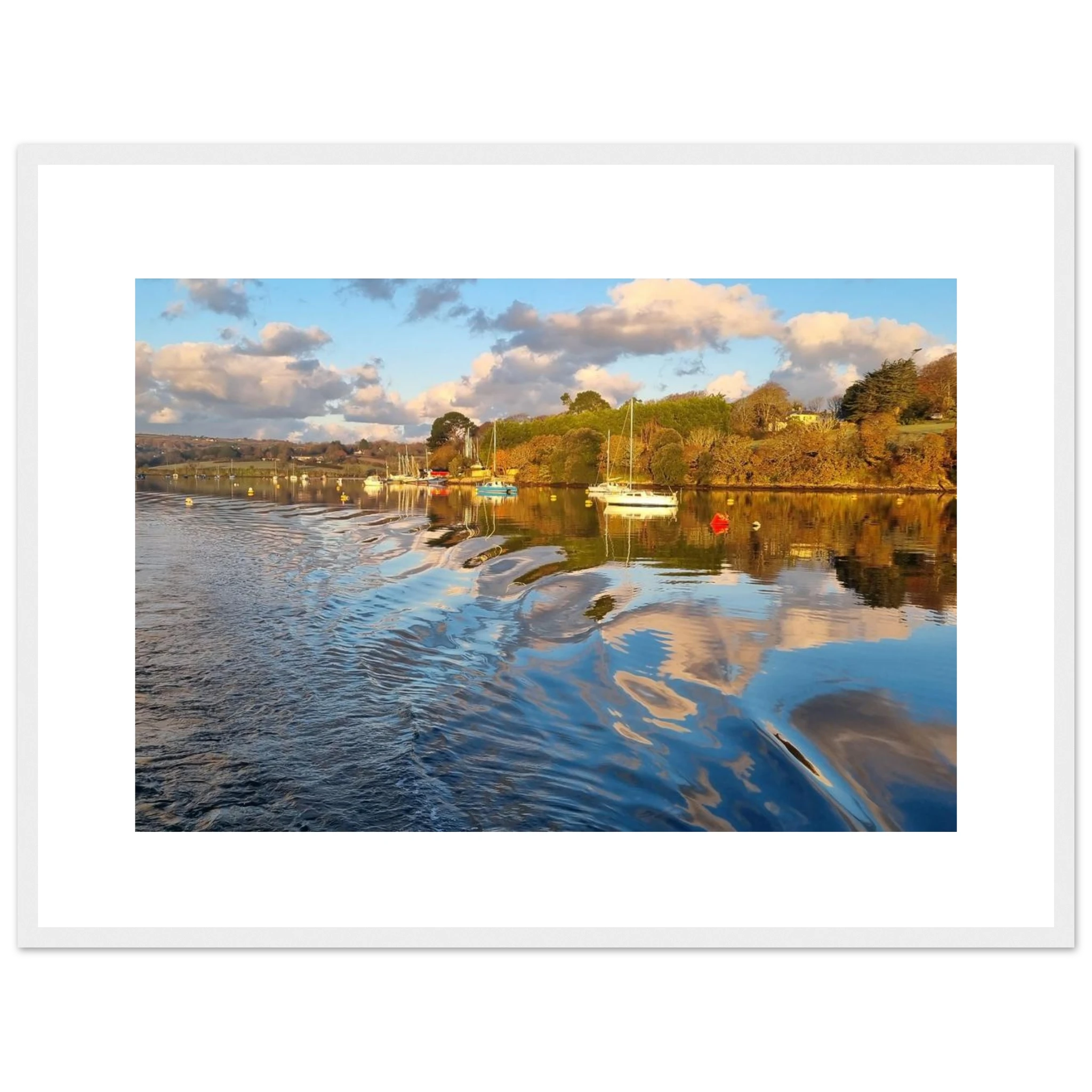 7b9b506b-ff5c-40a4-9cc1-4f7d0fe296ca