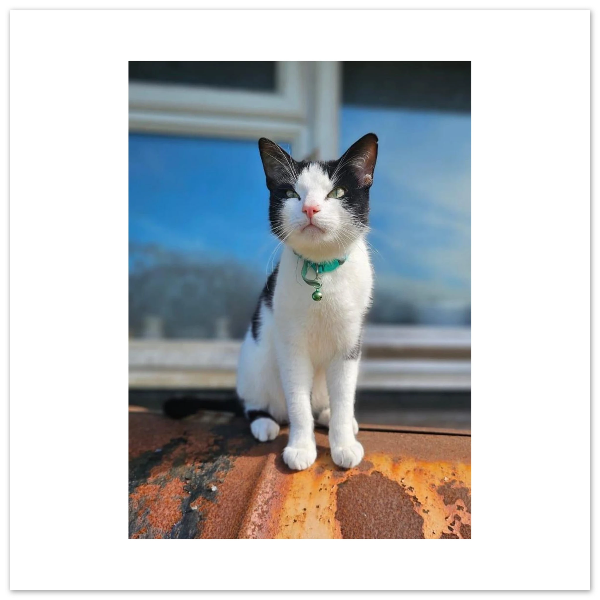 7cb6298c-913a-4f50-92c6-9ee23db95f13