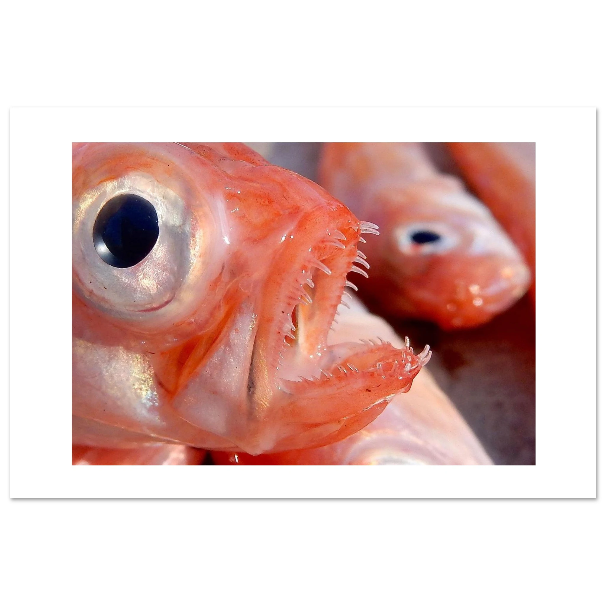 7f2448e5-ab05-4eb2-a365-3ef9c72f9a45