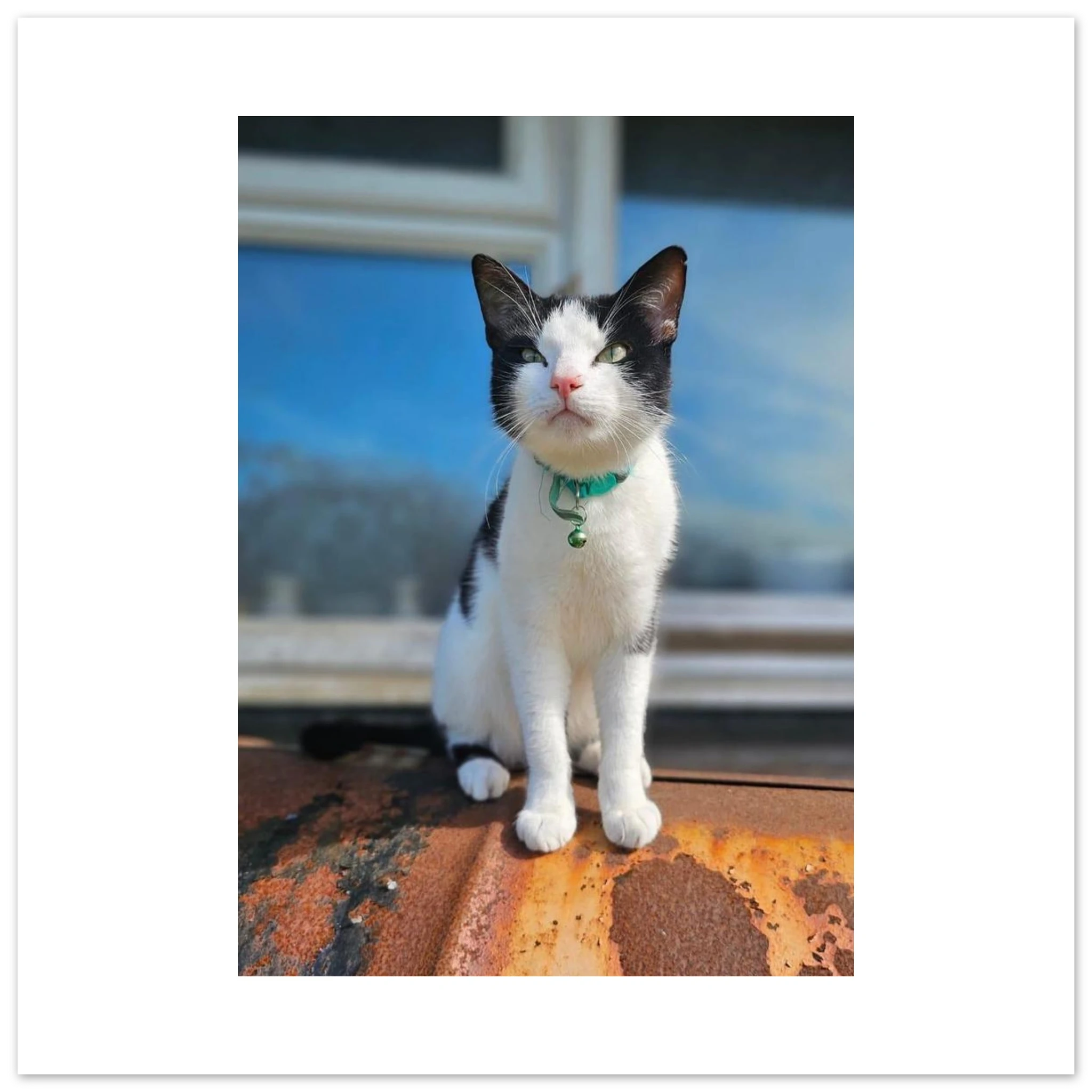 7f8a8dc6-1706-49f9-a35d-e11c323d1c42